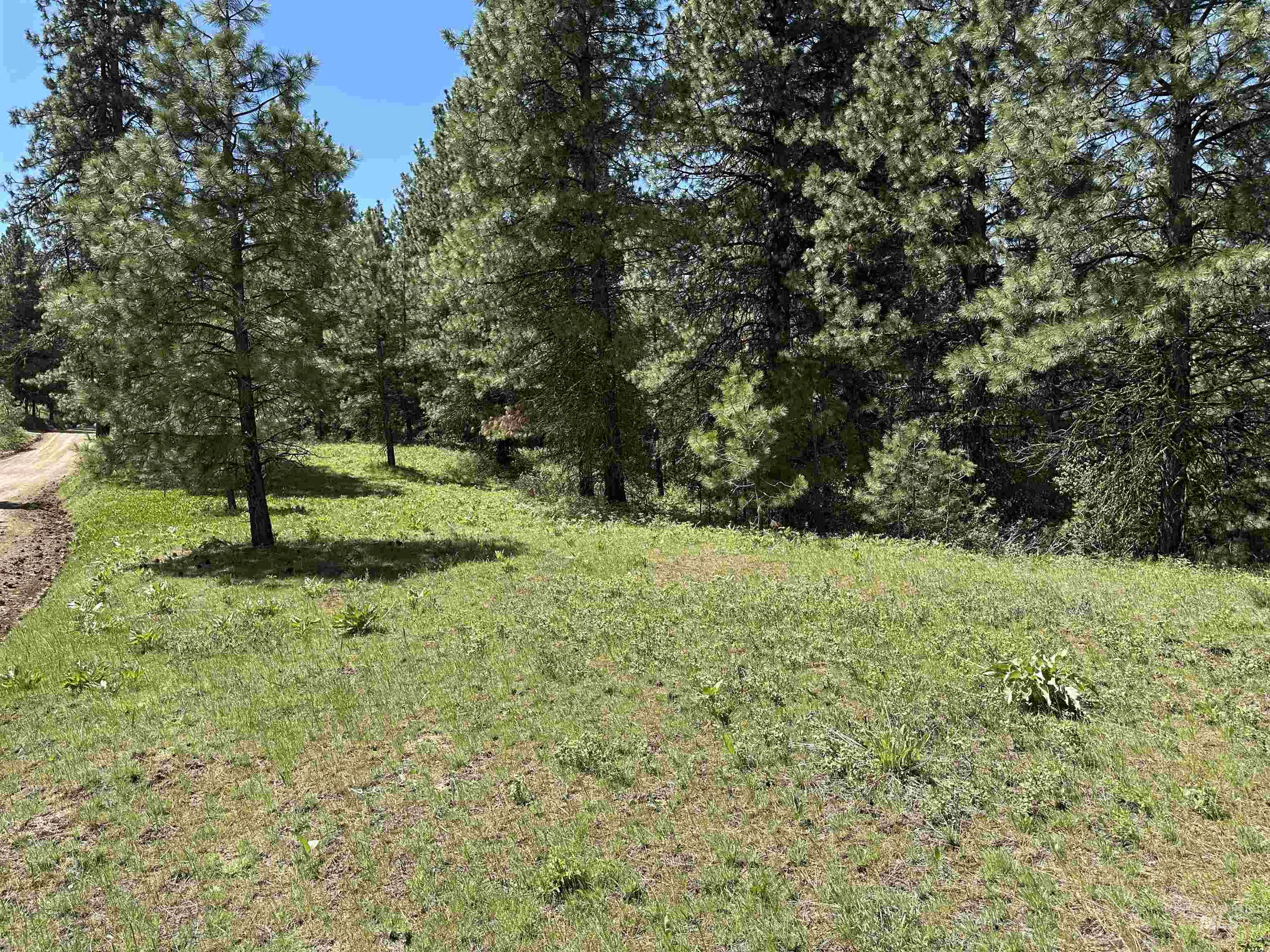Tbd Cruickshank Road Horseshoe Bend, ID 83629 - Photo 2 of 10