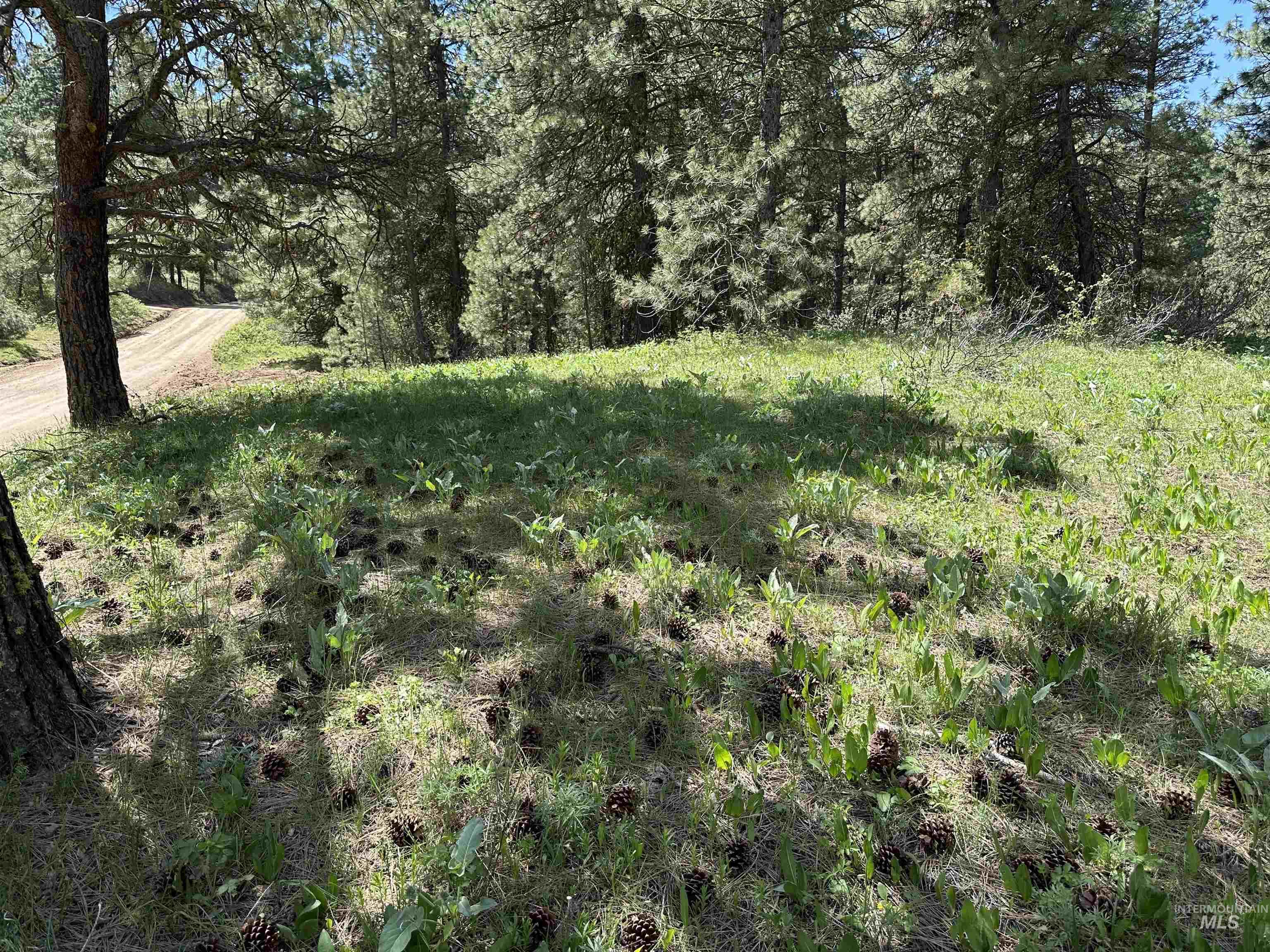 Tbd Cruickshank Road Horseshoe Bend, ID 83629 - Photo 3 of 10