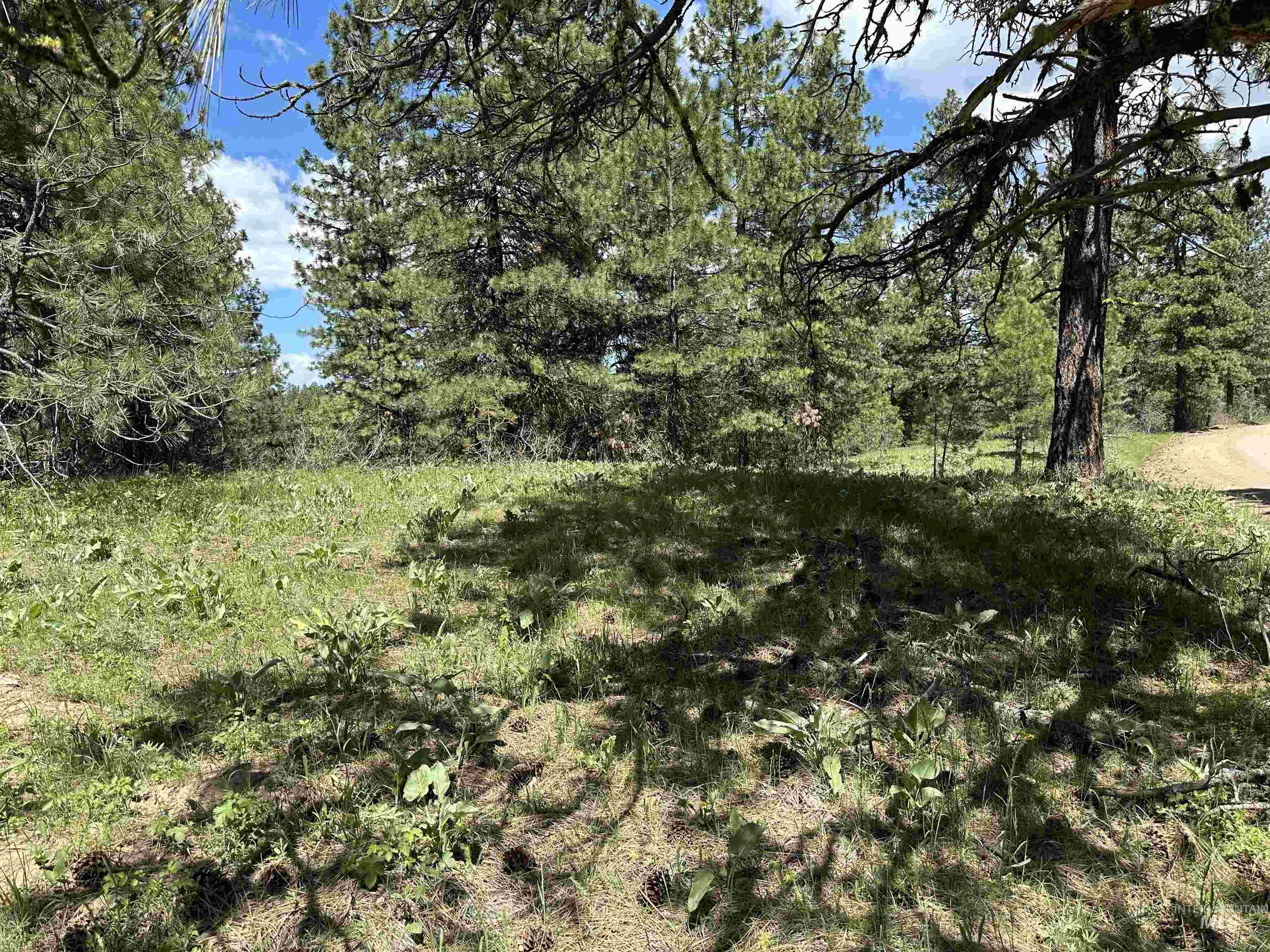 Tbd Cruickshank Road Horseshoe Bend, ID 83629 - Photo 4 of 10