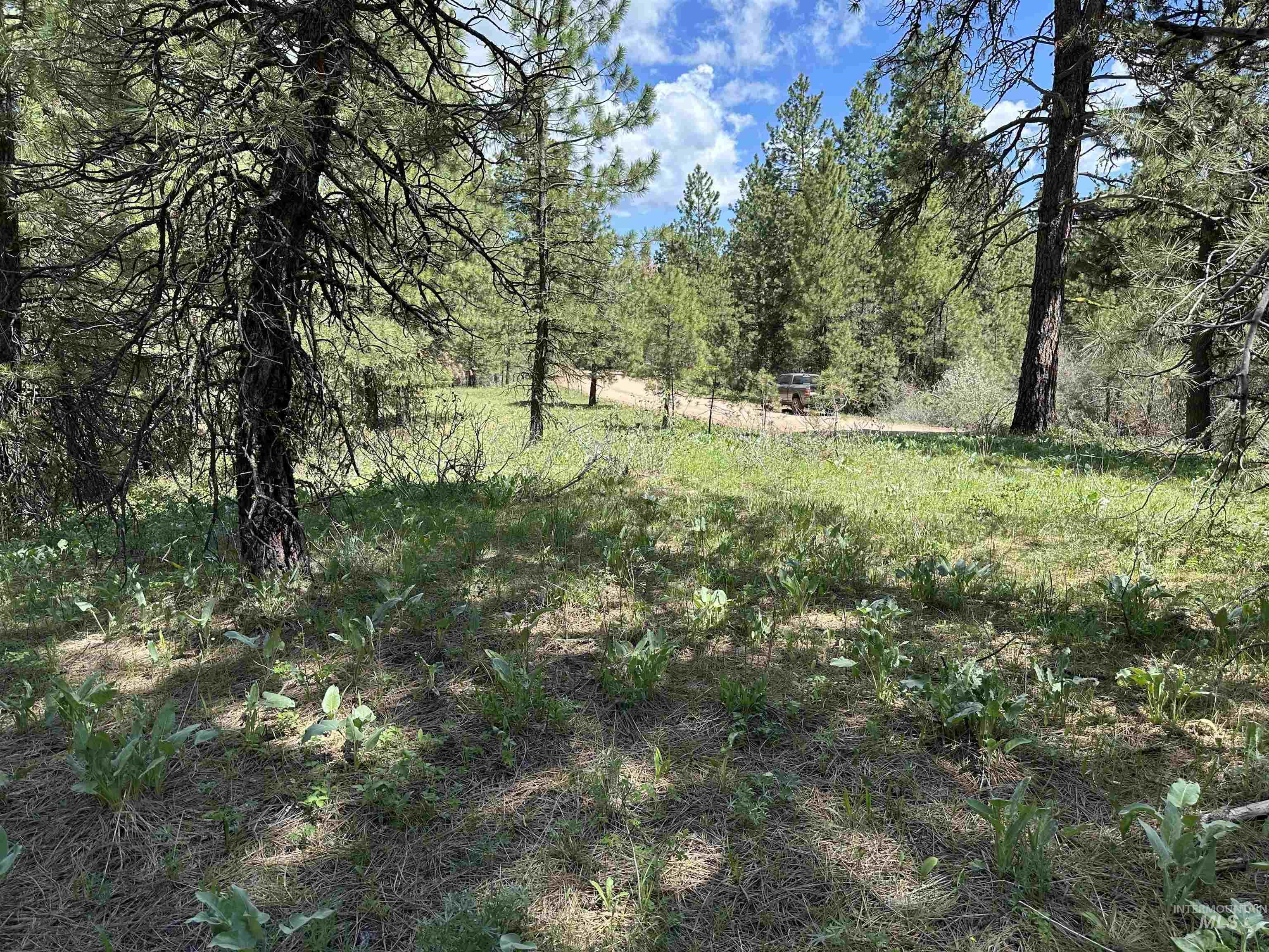 Tbd Cruickshank Road Horseshoe Bend, ID 83629 - Photo 5 of 10