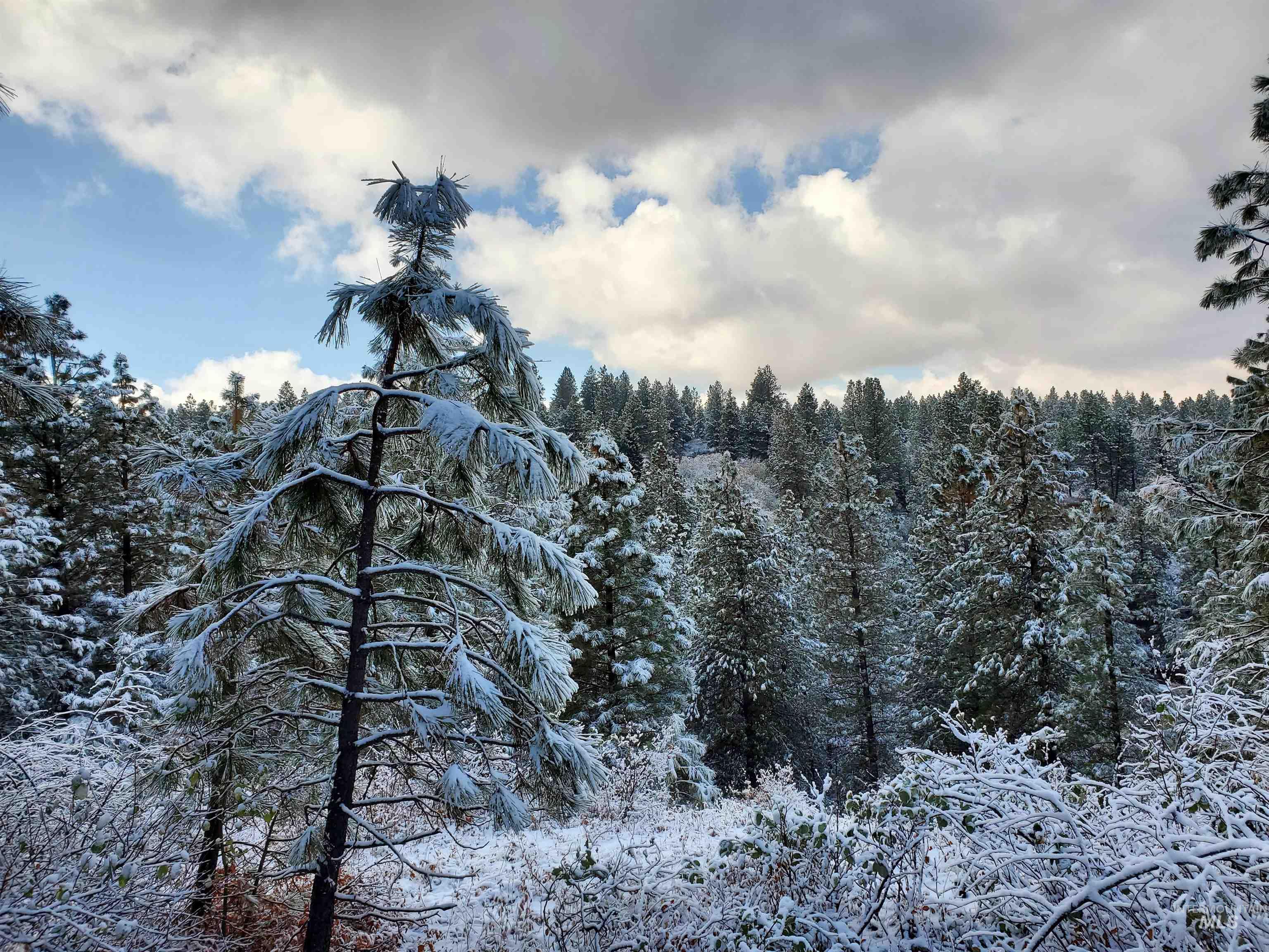 Tbd Cruickshank Road Horseshoe Bend, ID 83629 - Photo 10 of 10
