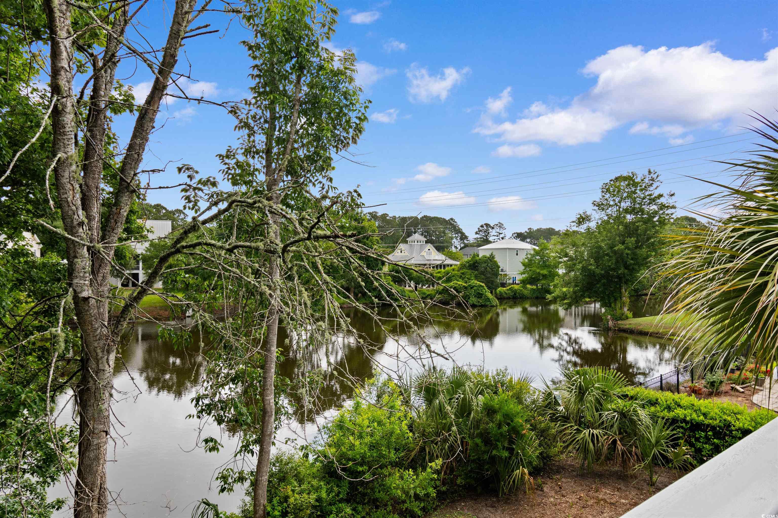 141 Cayman Loop Pawleys Island, SC 29585 - Photo 32 of 40 Water view