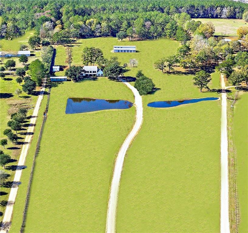 81457 Chenel Road Folsom, LA 70437 - Photo 4 of 22