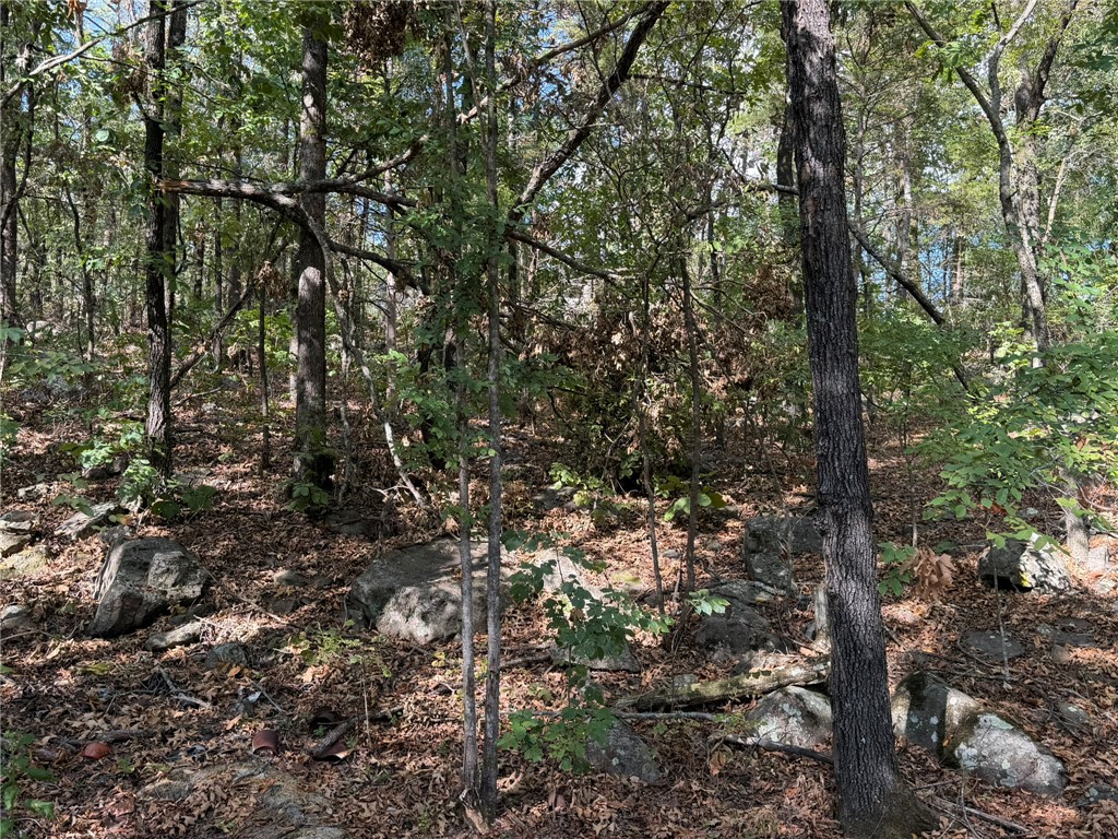 15901 Peaceful Home Road Natural Dam, AR 72948 - Photo 32 of 32 Gallery Image 32