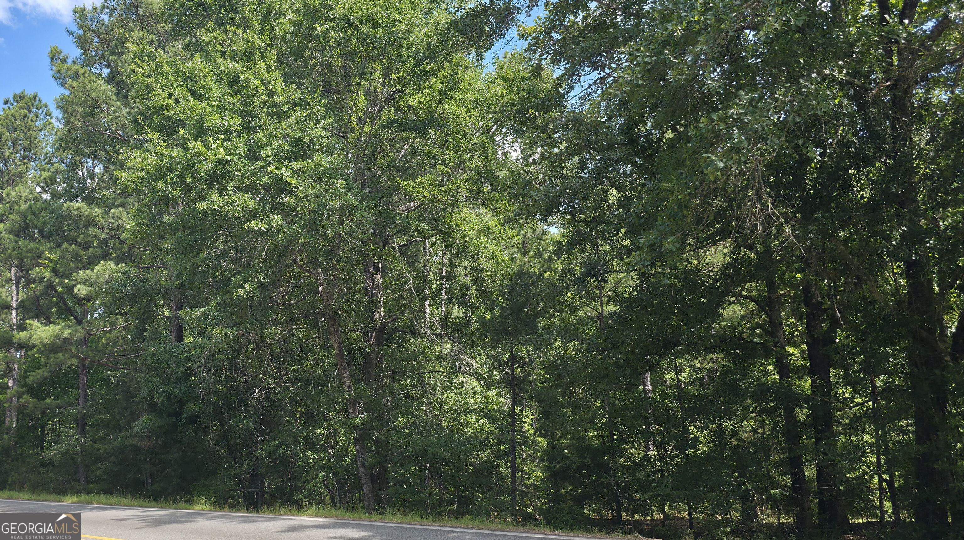 0 Bowen Hill Road Haddock, GA 31033 - Photo 2 of 4