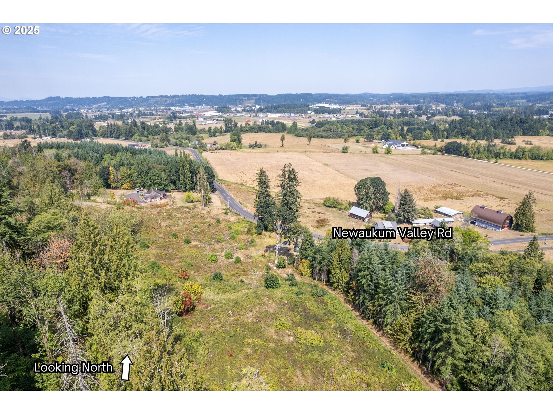Newaukum Valley Road Chehalis, WA 98532 - Photo 4 of 11 a view of a lake with tall mountain
