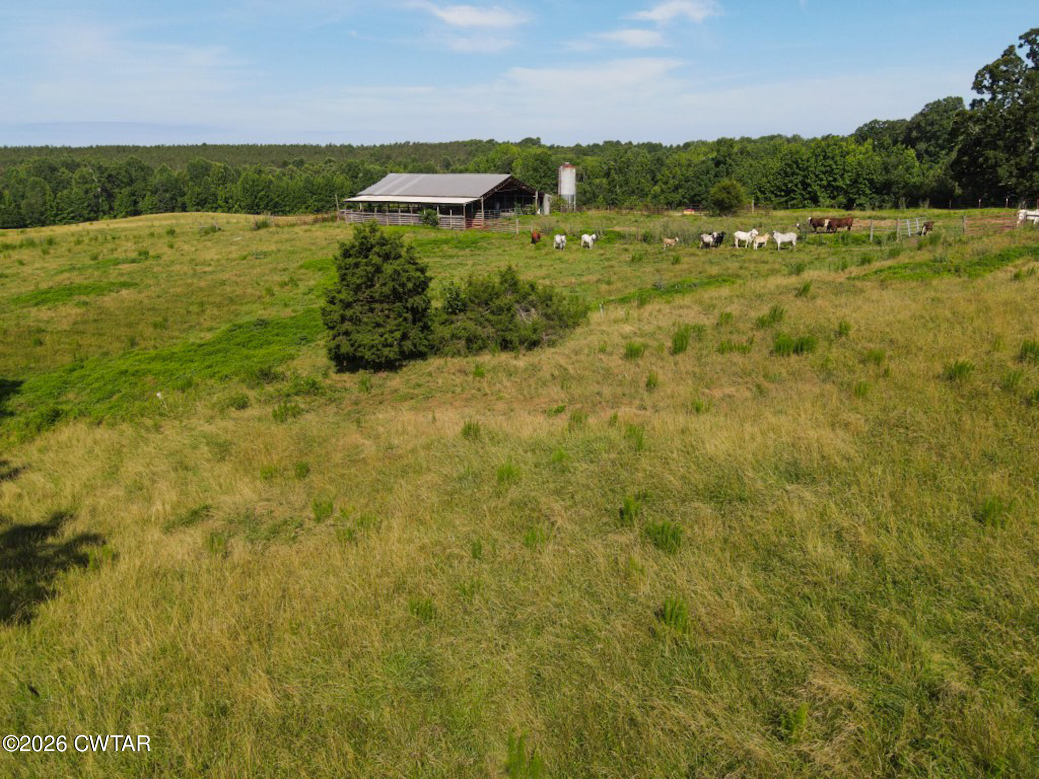 1074 McGee Road Scotts Hill, TN 38374 - Photo 23 of 38 DJI_0612 (Medium)