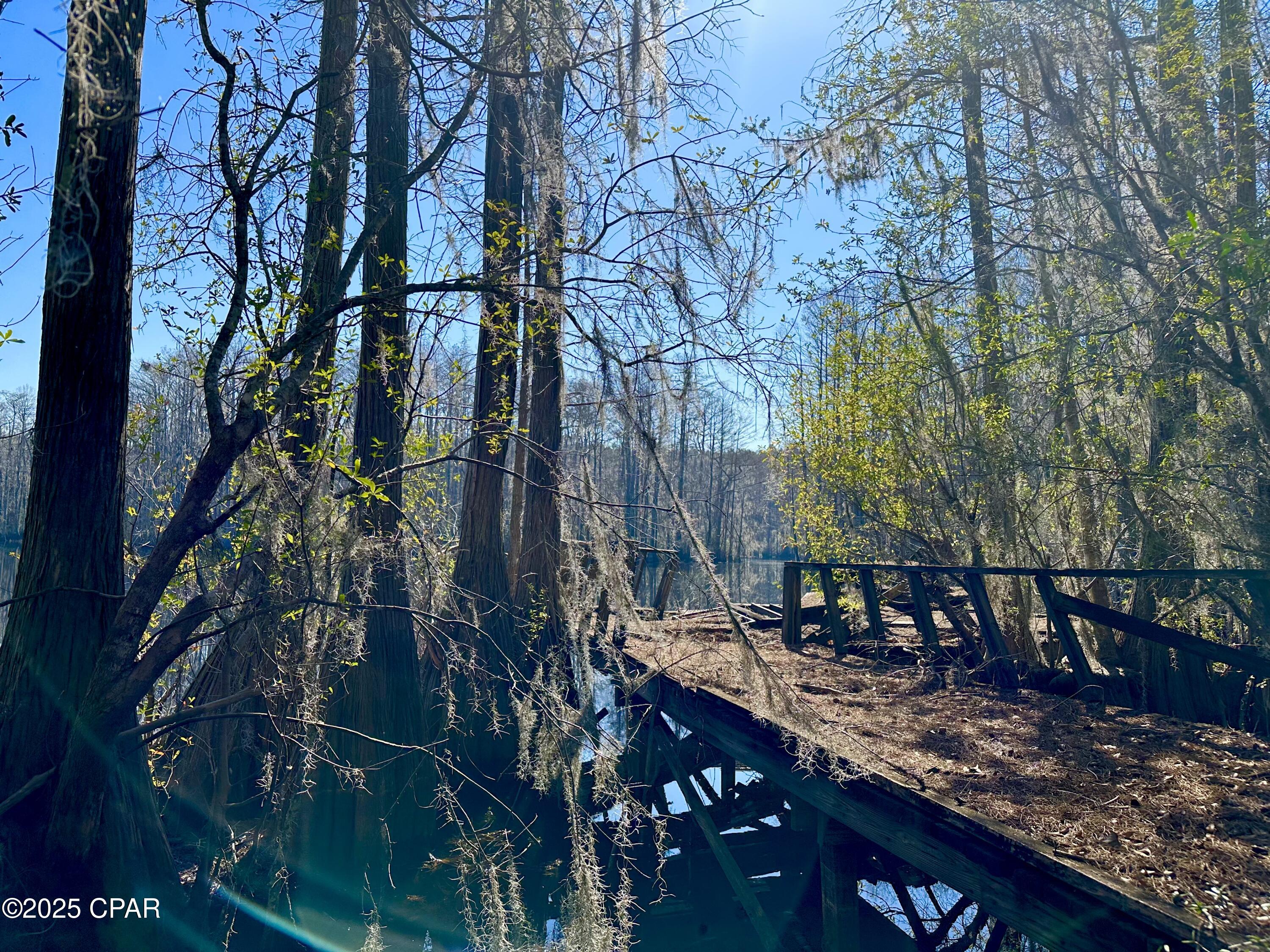 4661 Moss Hill Road Chipley, FL 32428 - Photo 11 of 30