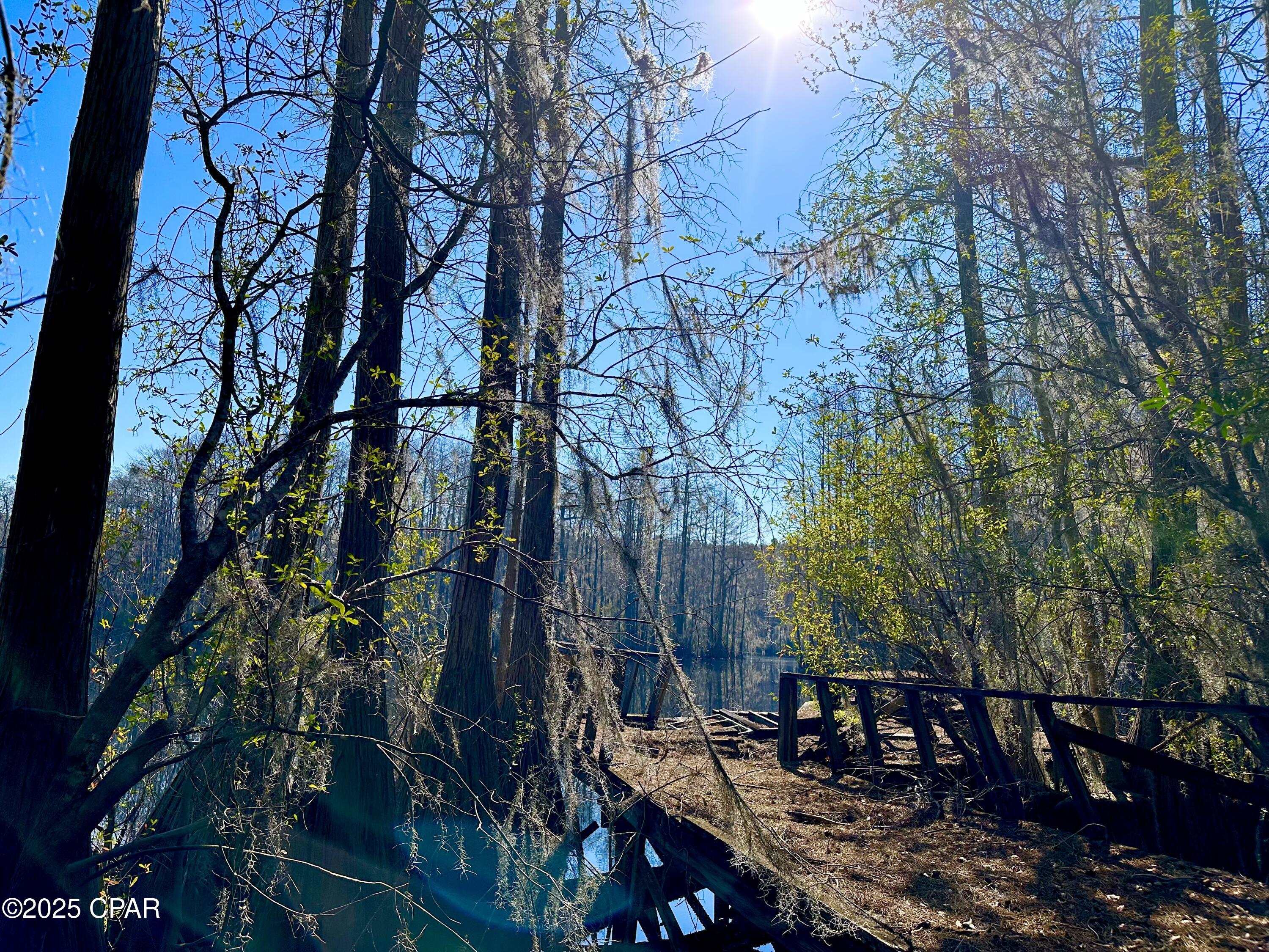 4661 Moss Hill Road Chipley, FL 32428 - Photo 12 of 30