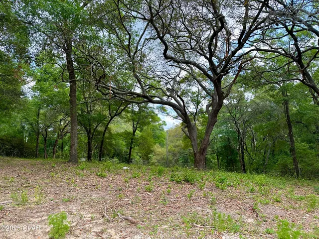 $85,000 | 4661 Moss Hill Road, Chipley, FL 32428