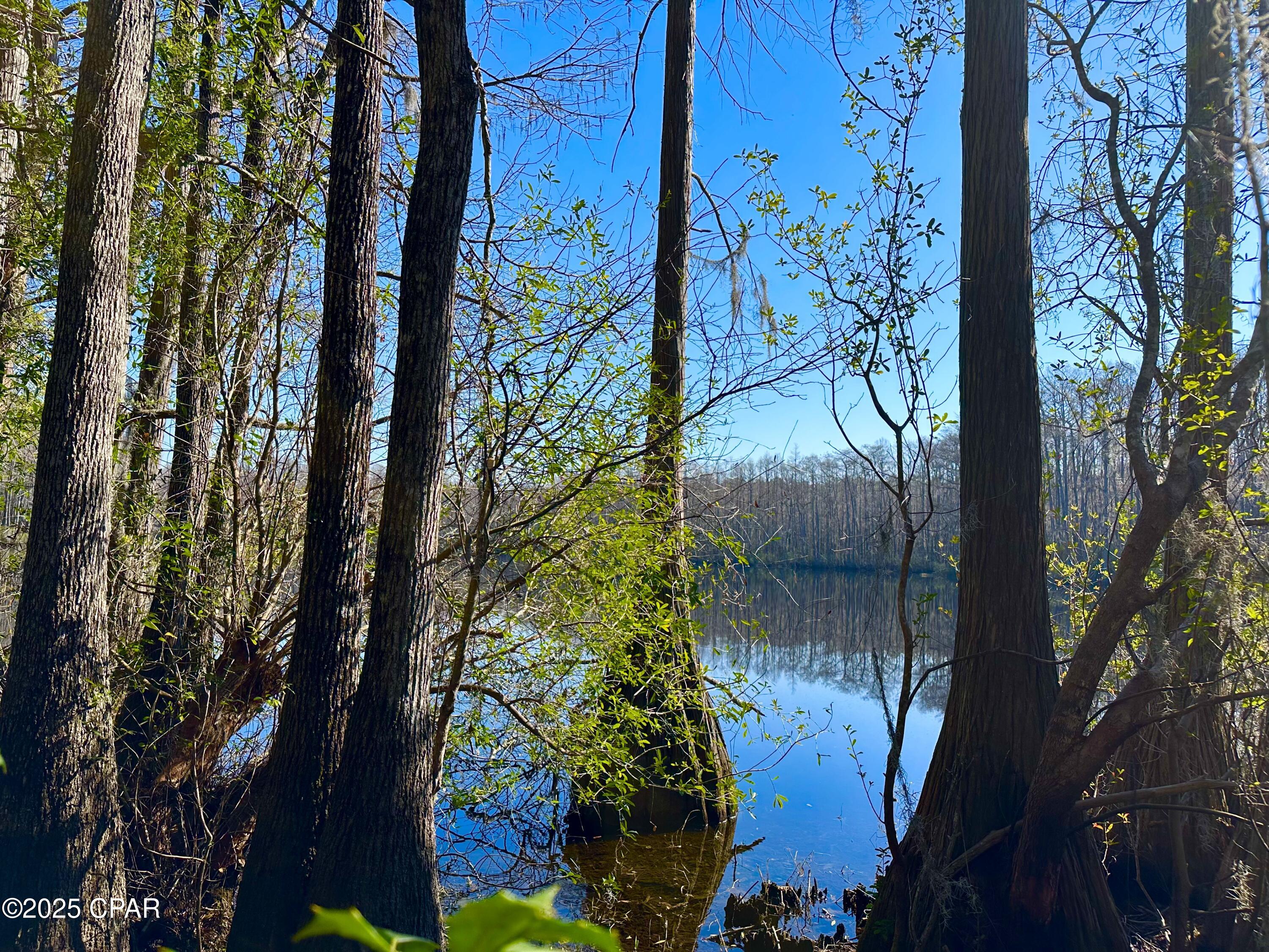 4661 Moss Hill Road Chipley, FL 32428 - Photo 2 of 30