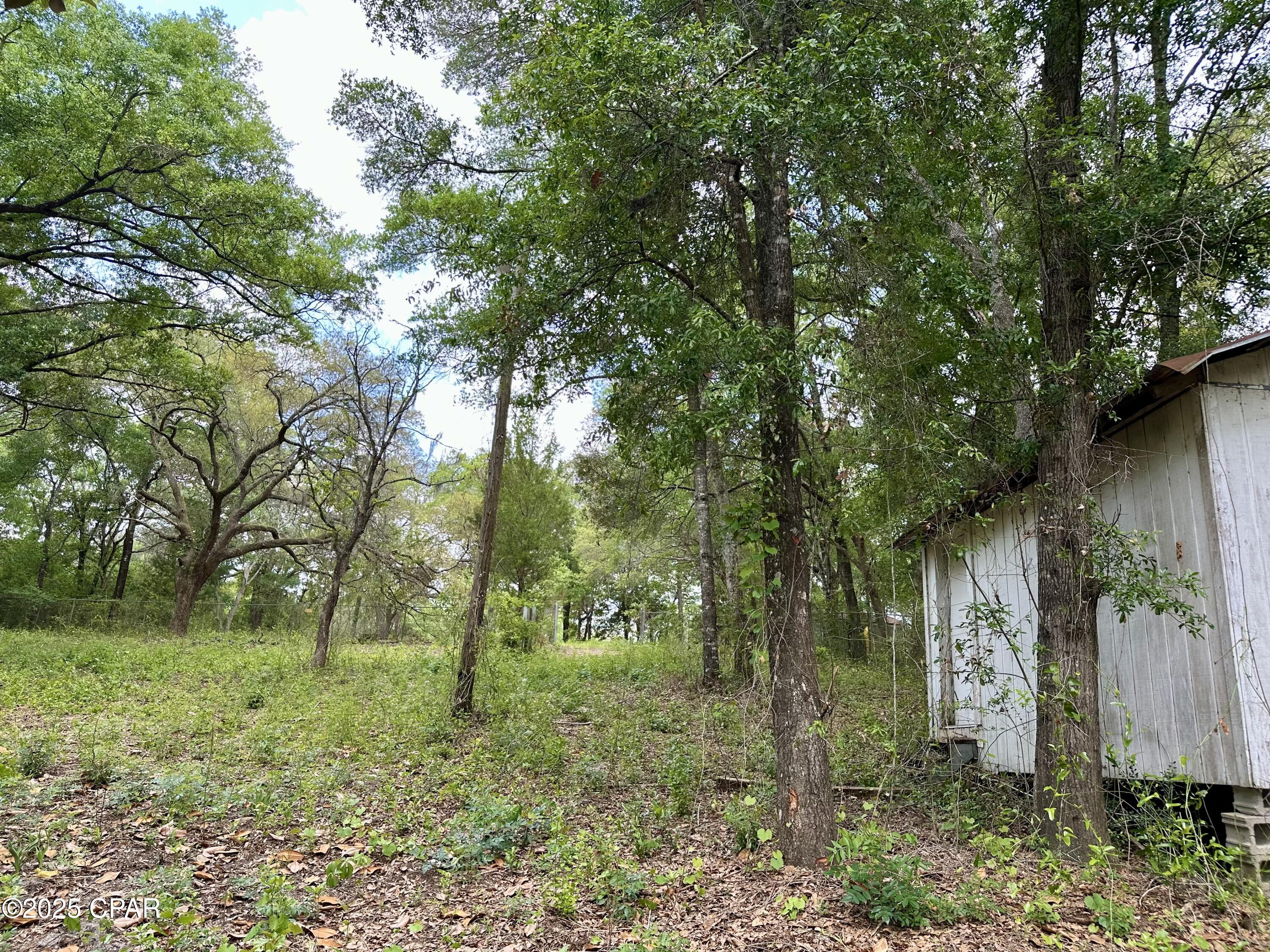 4661 Moss Hill Road Chipley, FL 32428 - Photo 21 of 30