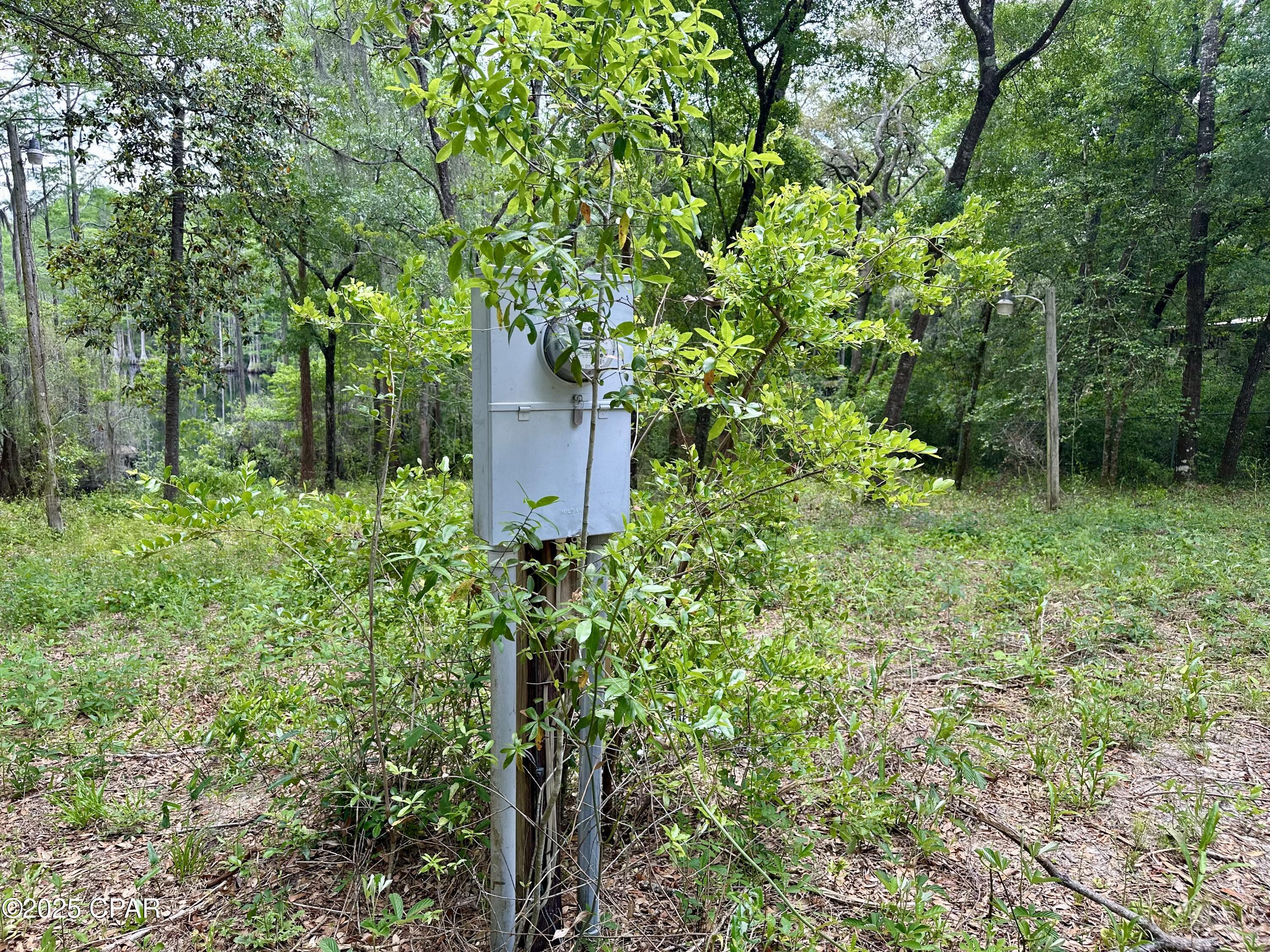 4661 Moss Hill Road Chipley, FL 32428 - Photo 24 of 30