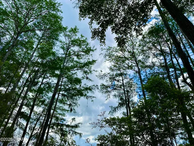 $85,000 | 4661 Moss Hill Road, Chipley, FL 32428