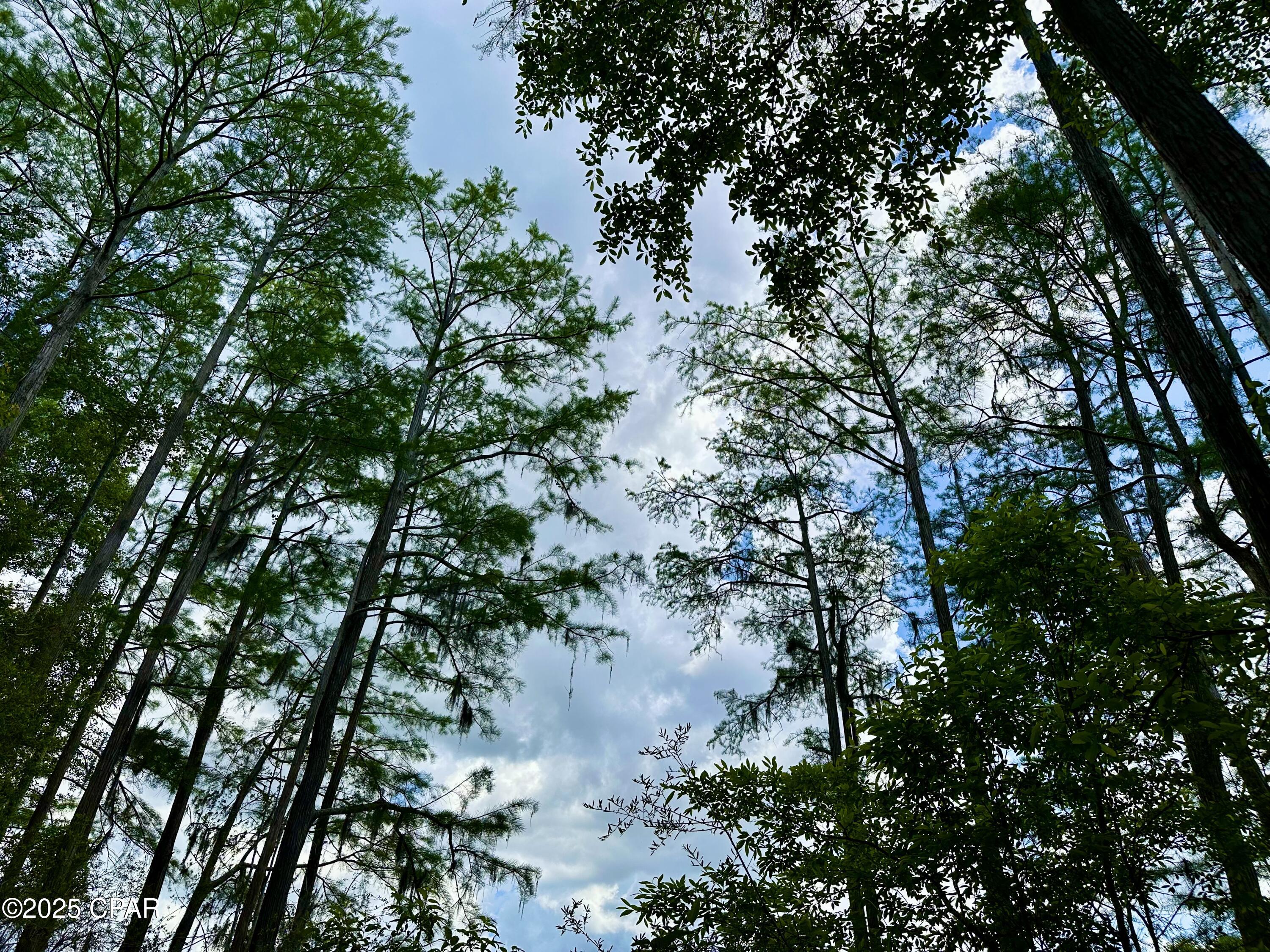 4661 Moss Hill Road Chipley, FL 32428 - Photo 26 of 30