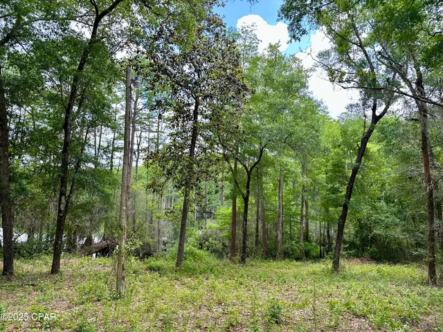 $85,000 | 4661 Moss Hill Road, Chipley, FL 32428