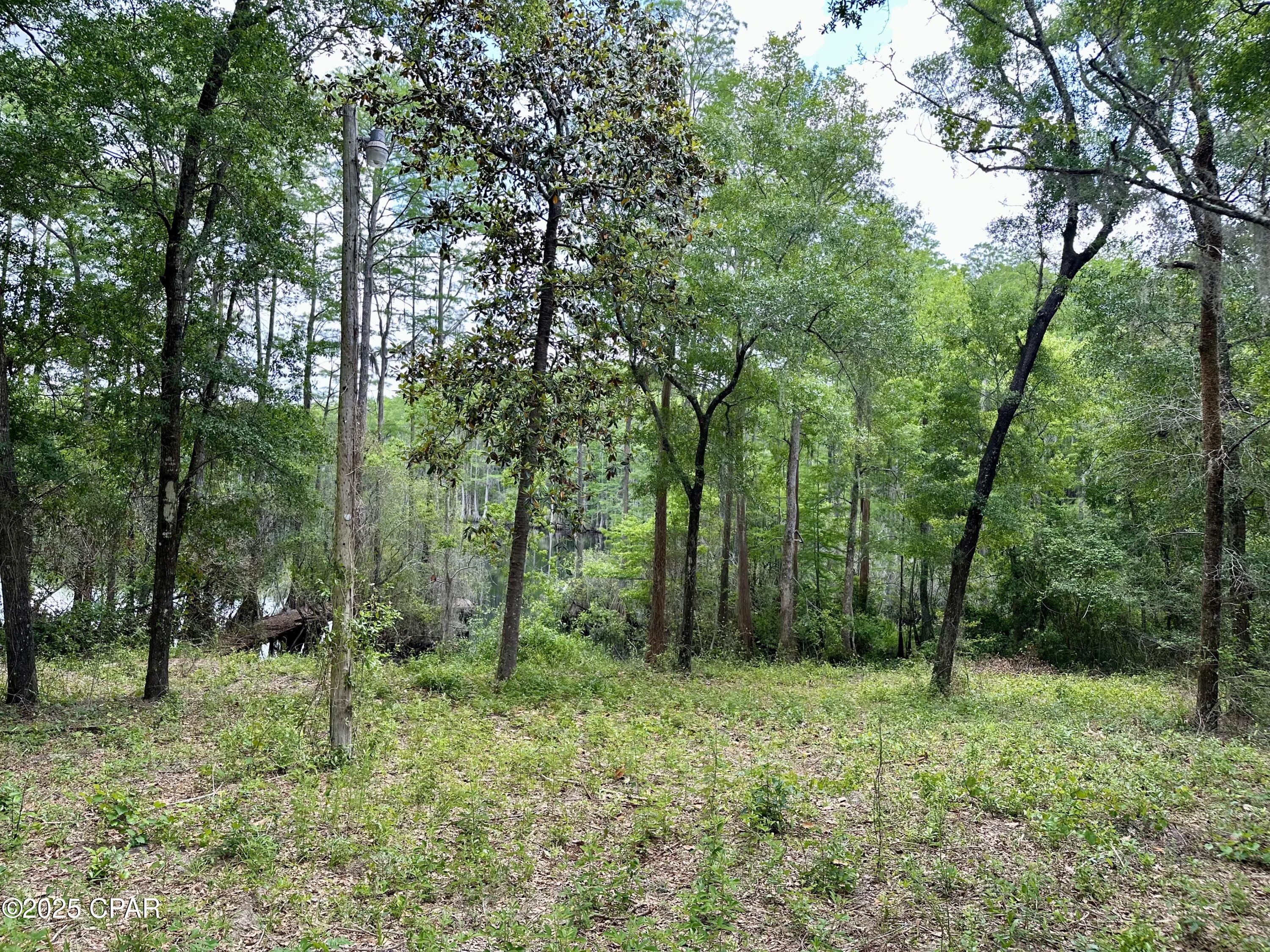 4661 Moss Hill Road Chipley, FL 32428 - Photo 29 of 30