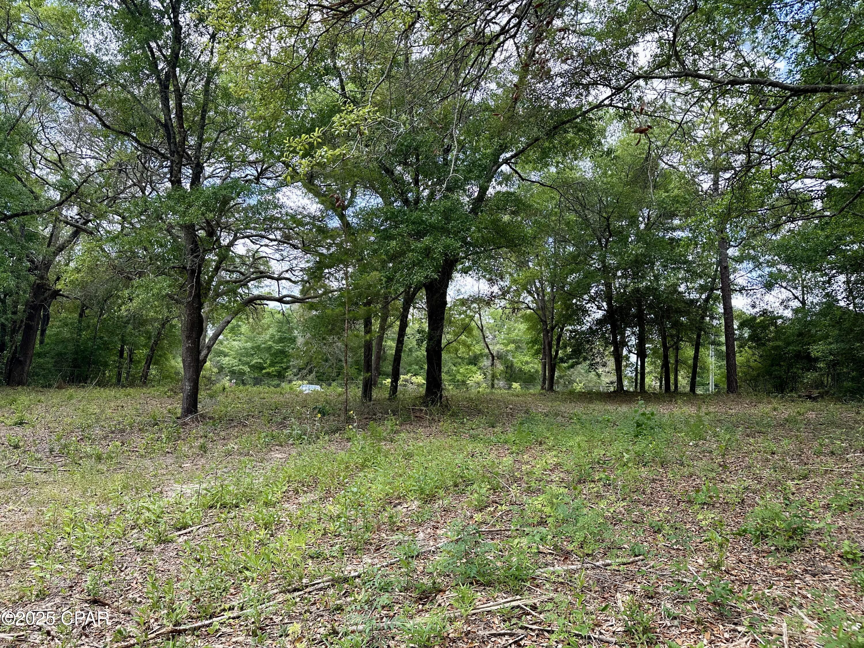 4661 Moss Hill Road Chipley, FL 32428 - Photo 30 of 30