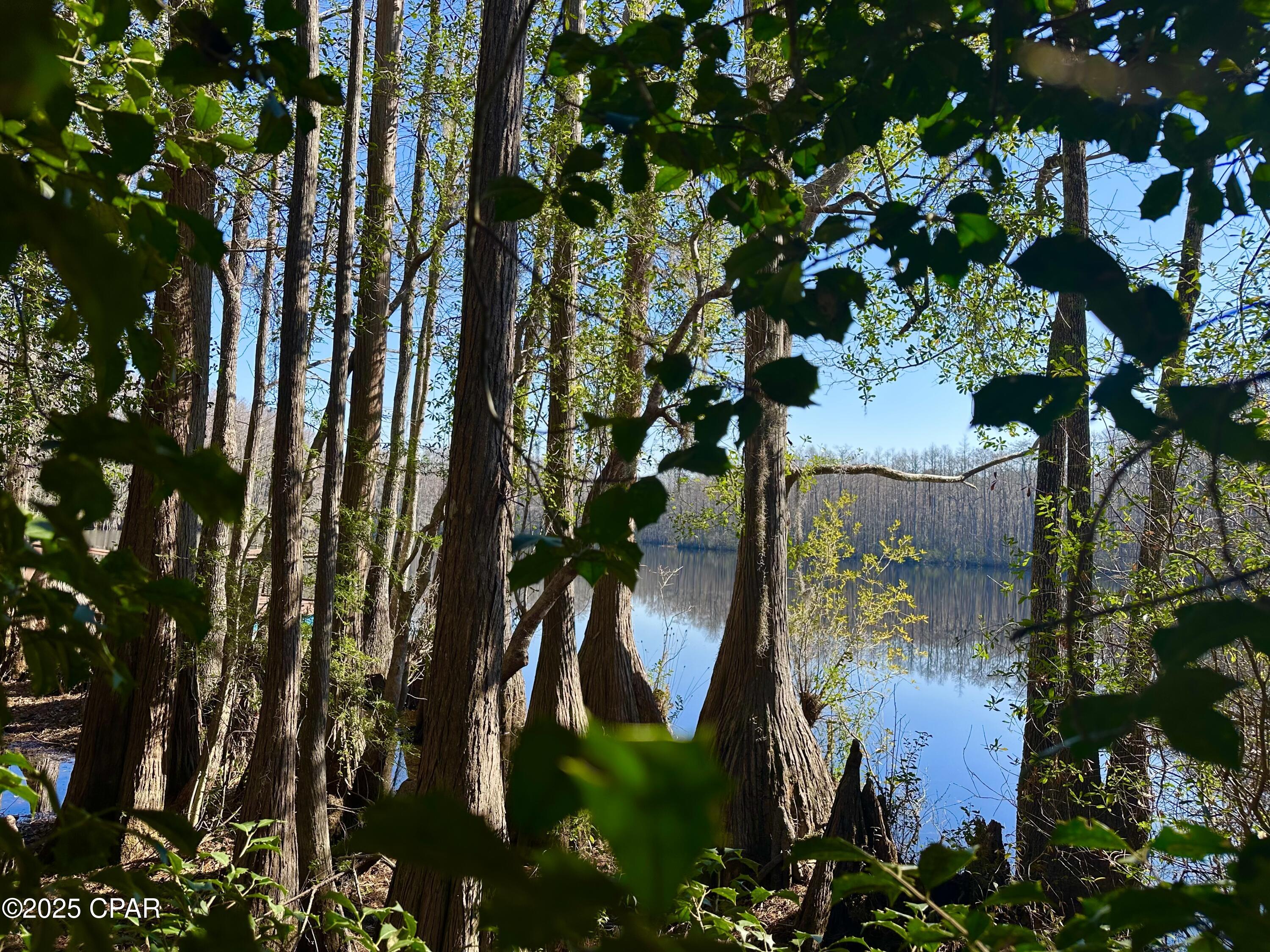 4661 Moss Hill Road Chipley, FL 32428 - Photo 3 of 30