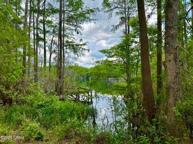 $85,000 | 4661 Moss Hill Road, Chipley, FL 32428