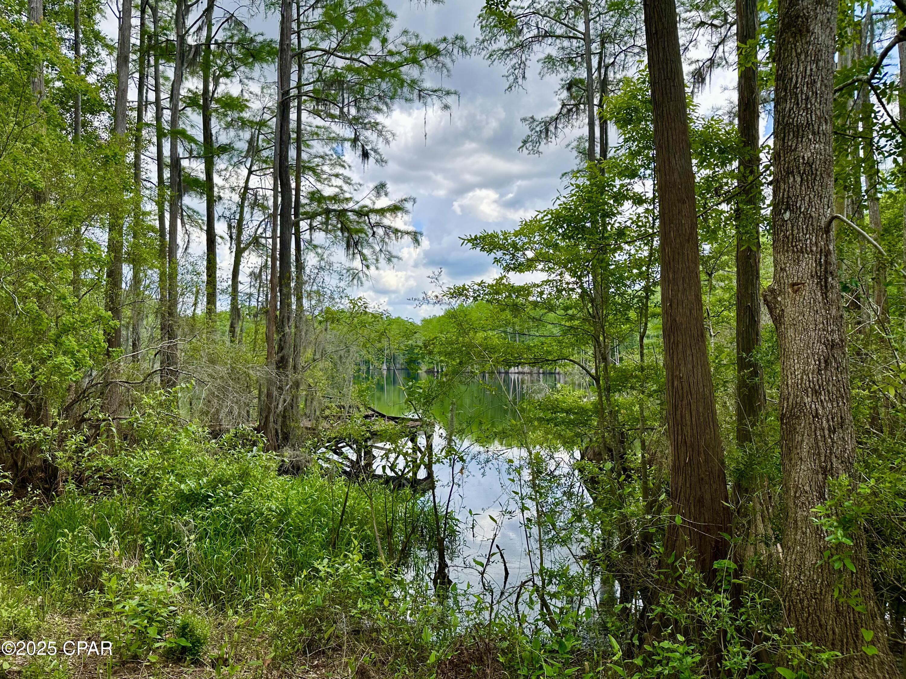 4661 Moss Hill Road Chipley, FL 32428 - Photo 4 of 30
