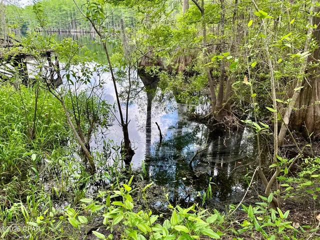 $85,000 | 4661 Moss Hill Road, Chipley, FL 32428