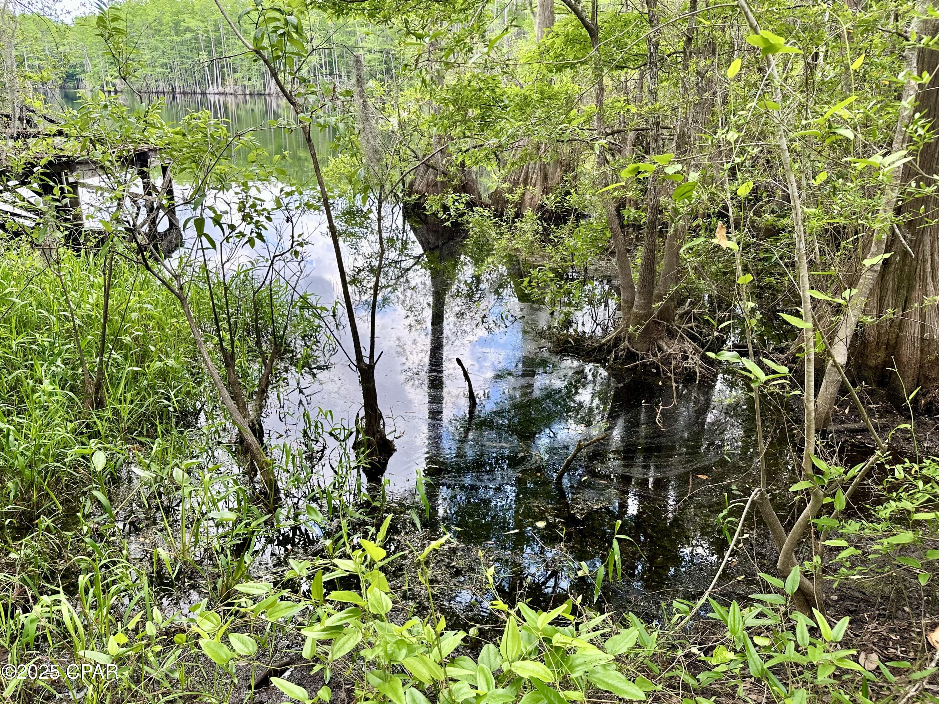 4661 Moss Hill Road Chipley, FL 32428 - Photo 5 of 30