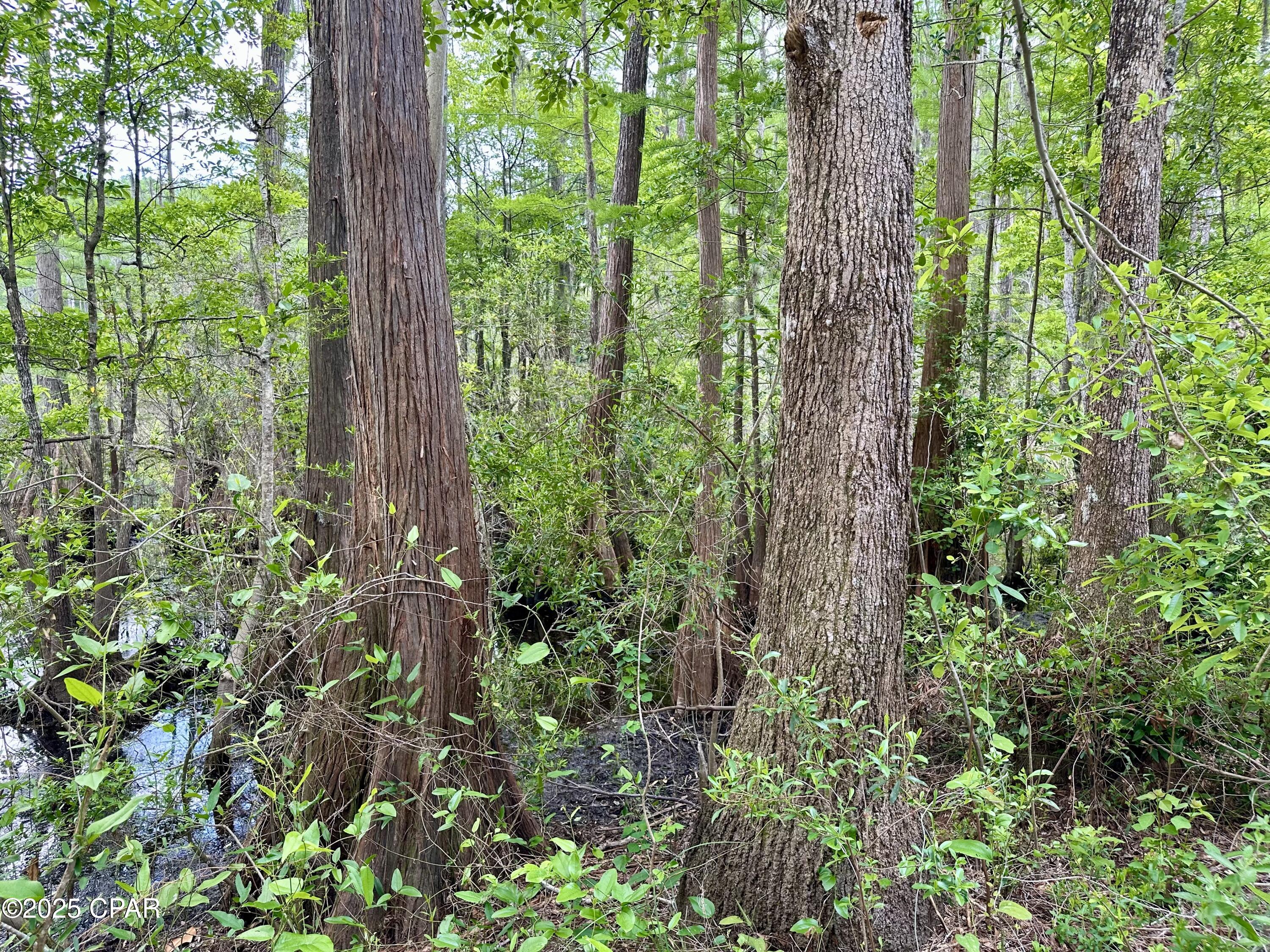 4661 Moss Hill Road Chipley, FL 32428 - Photo 6 of 30