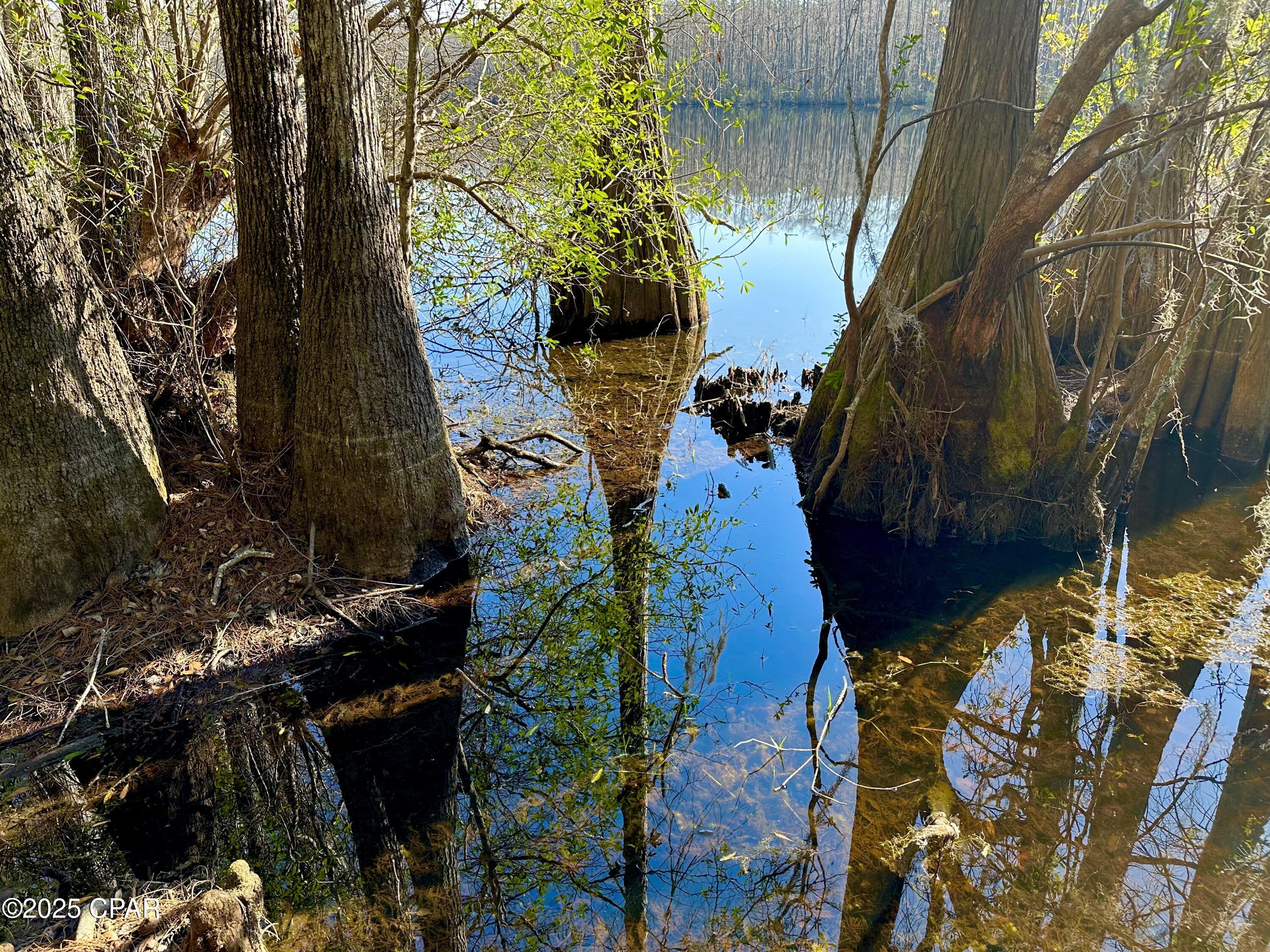 4661 Moss Hill Road Chipley, FL 32428 - Photo 7 of 30