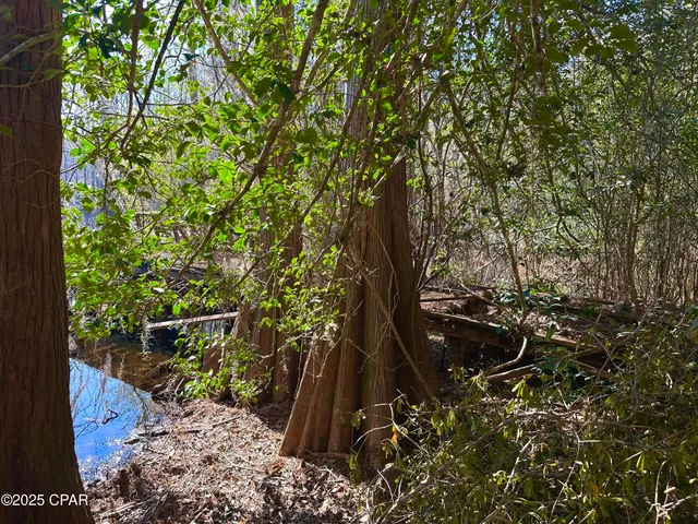 $85,000 | 4661 Moss Hill Road, Chipley, FL 32428