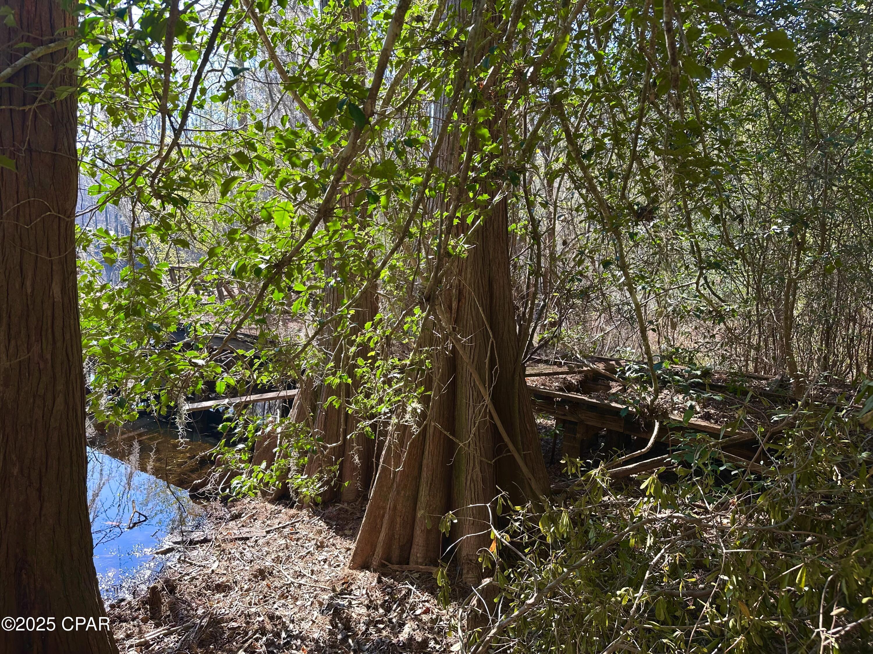 4661 Moss Hill Road Chipley, FL 32428 - Photo 8 of 30