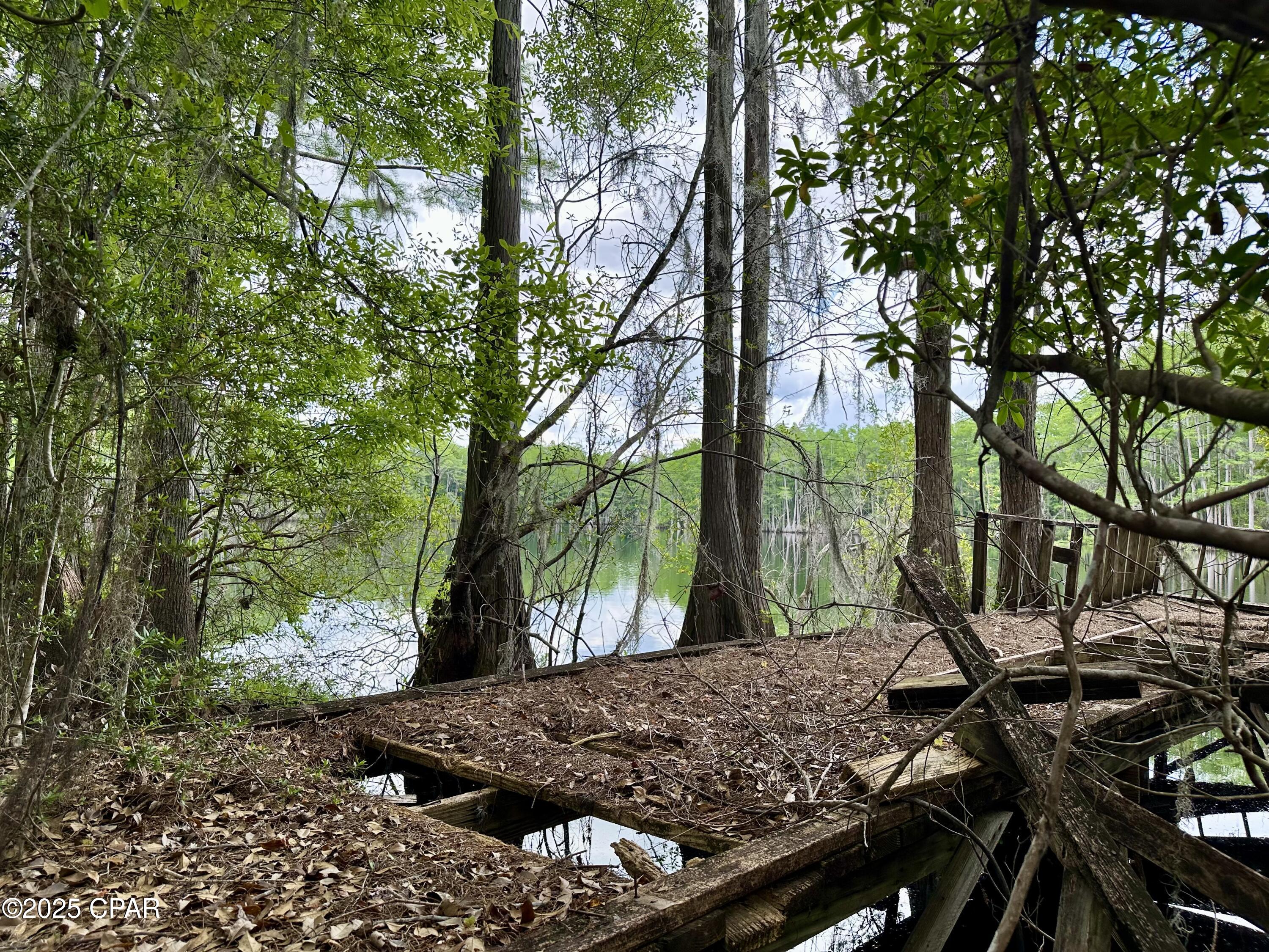 4661 Moss Hill Road Chipley, FL 32428 - Photo 9 of 30