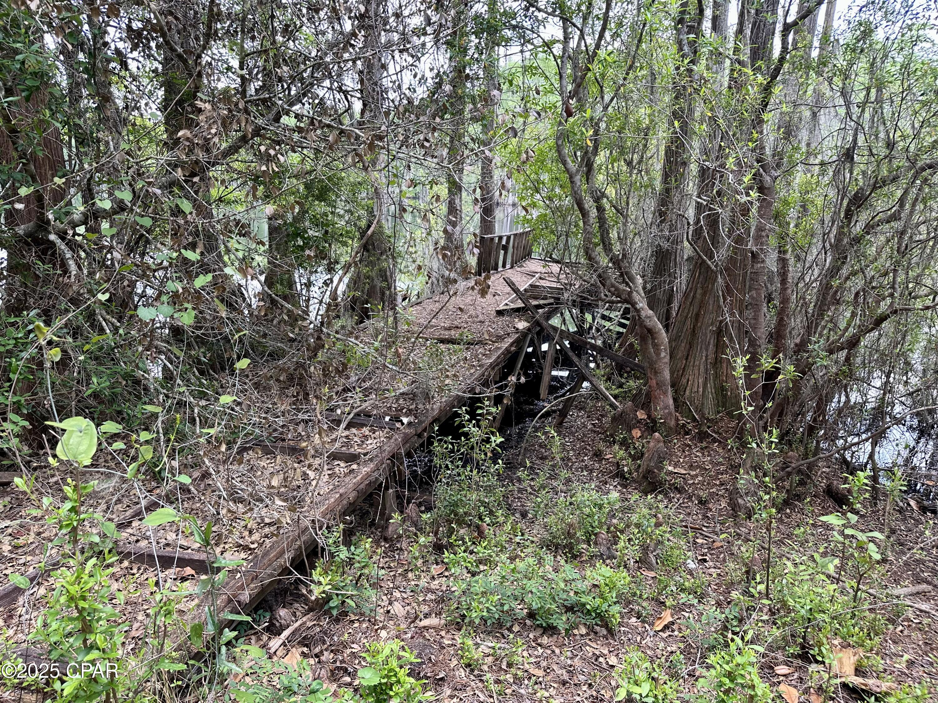 4661 Moss Hill Road Chipley, FL 32428 - Photo 10 of 30