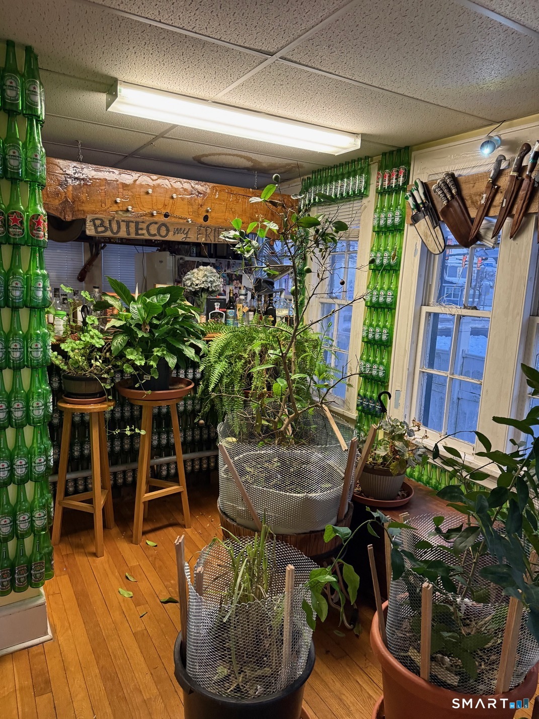 3461 East Main Street Bridgeport, CT 06606 - Photo 12 of 40 a room with lots of potted plants and a fountain