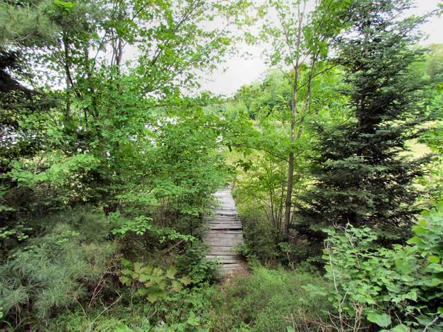 Lot 3 Ed's Lake Road Crandon, WI 54520 - Photo 11 of 20 Gallery Image 11