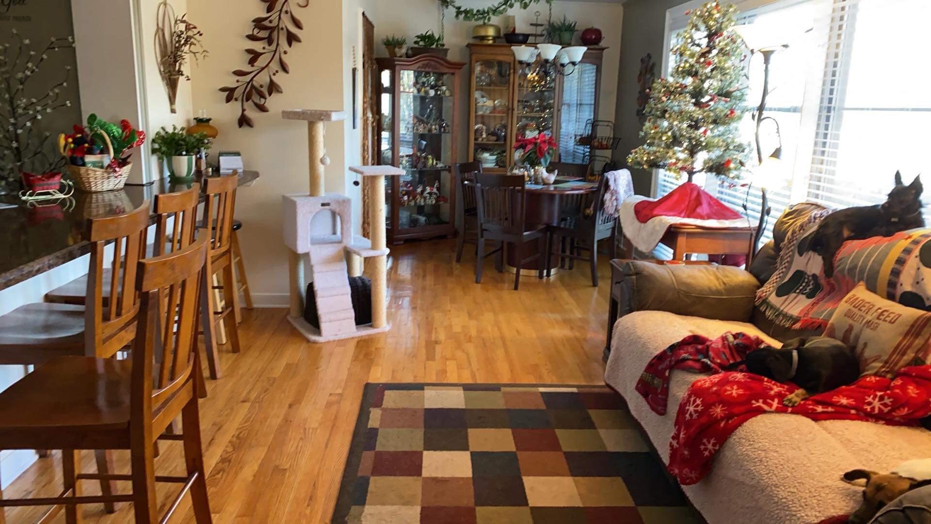 103 East Arrowwood Road Oak Ridge, TN 37830 - Photo 3 of 10 C98285AD-EED3-4AAD-852E-3155B763F243