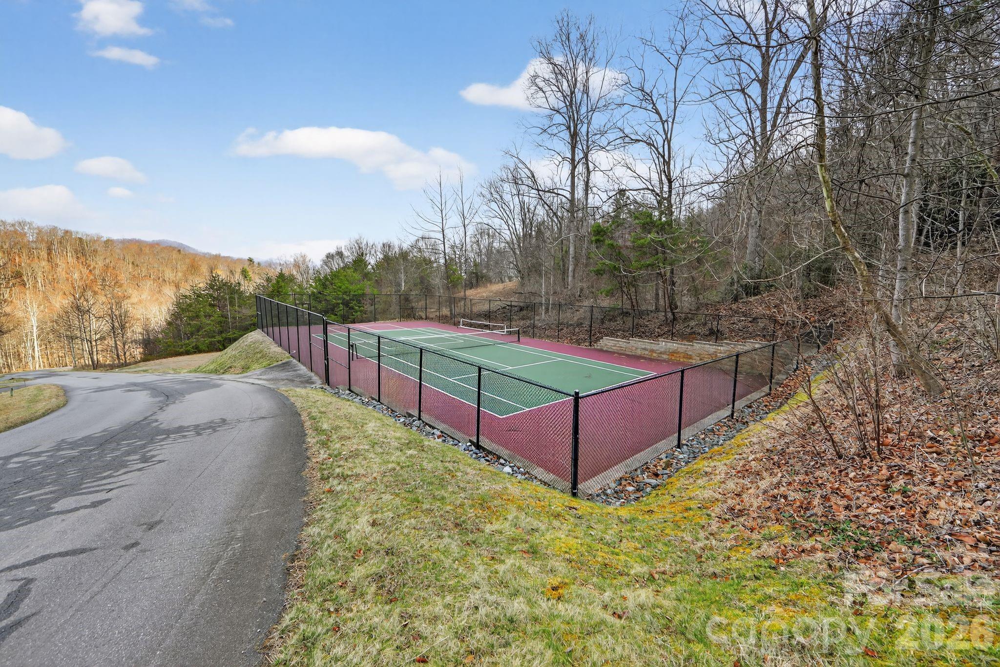 80 View Ridge Parkway Leicester, NC 28748 - Photo 15 of 15 a view of a backyard with trees