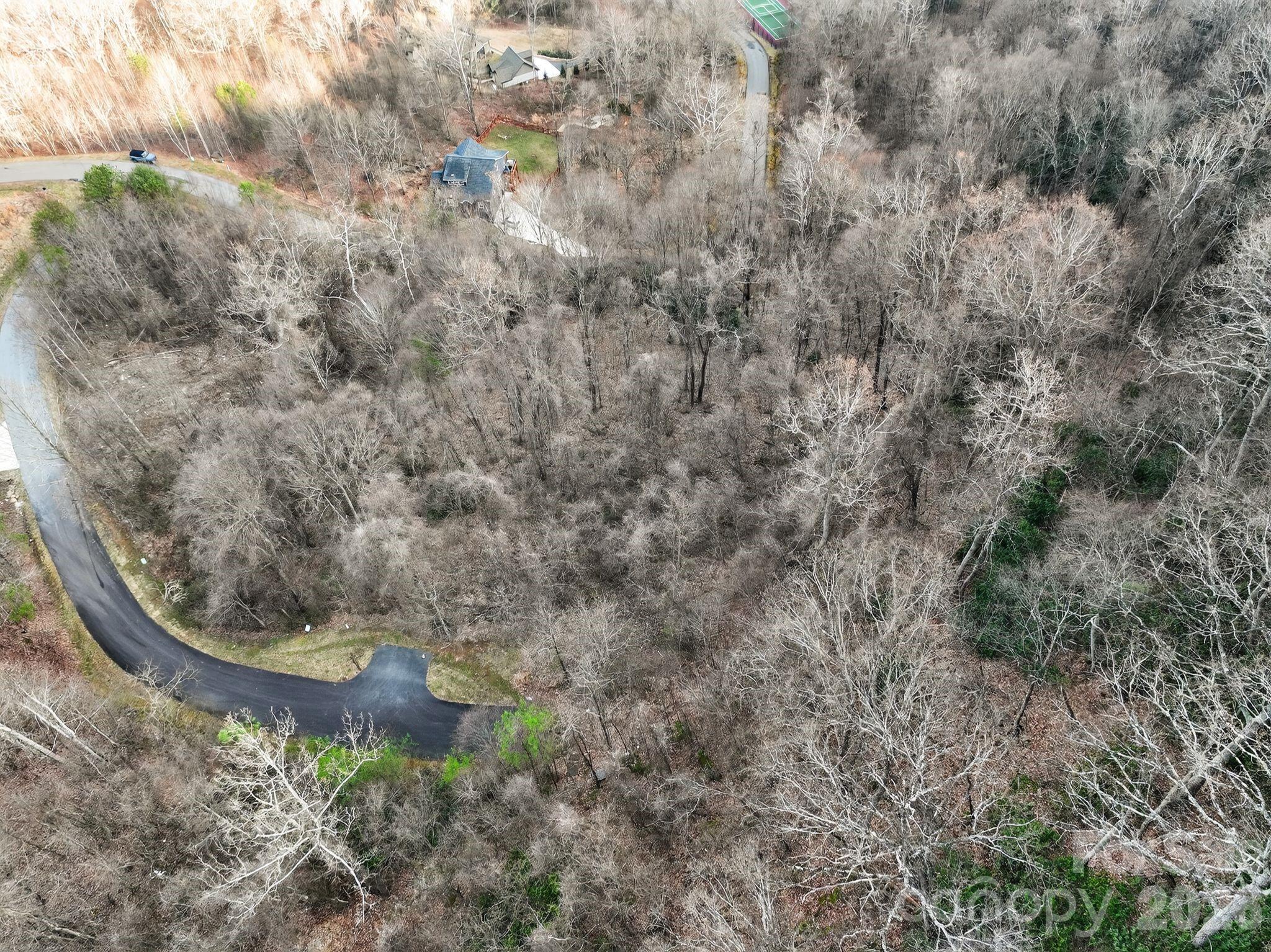 80 View Ridge Parkway Leicester, NC 28748 - Photo 5 of 15