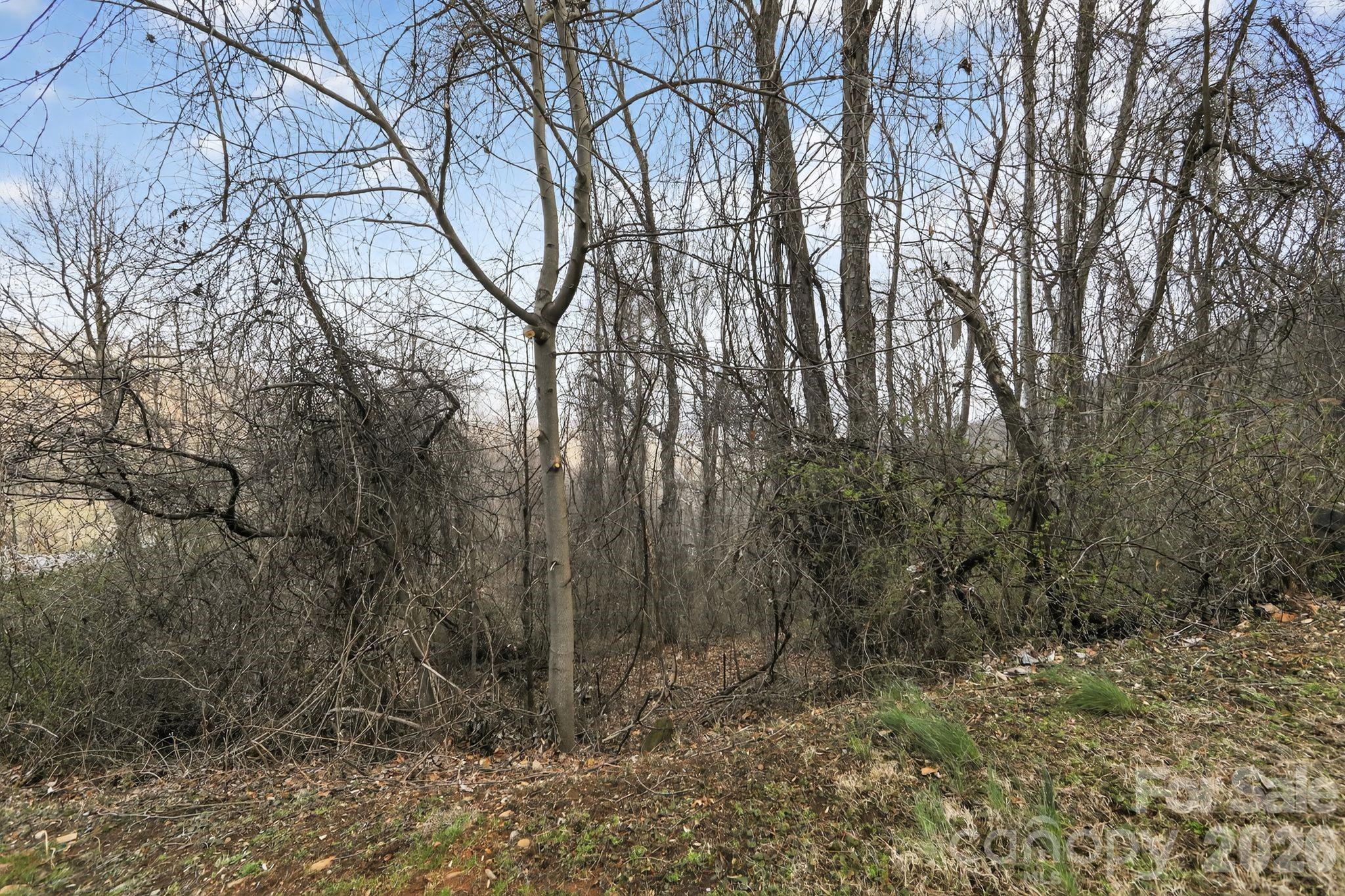 80 View Ridge Parkway Leicester, NC 28748 - Photo 8 of 15 a view of a yard