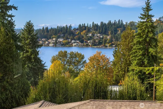 a view of a lake with a mountain in the background