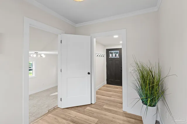 a hallway with painting and a potted plant