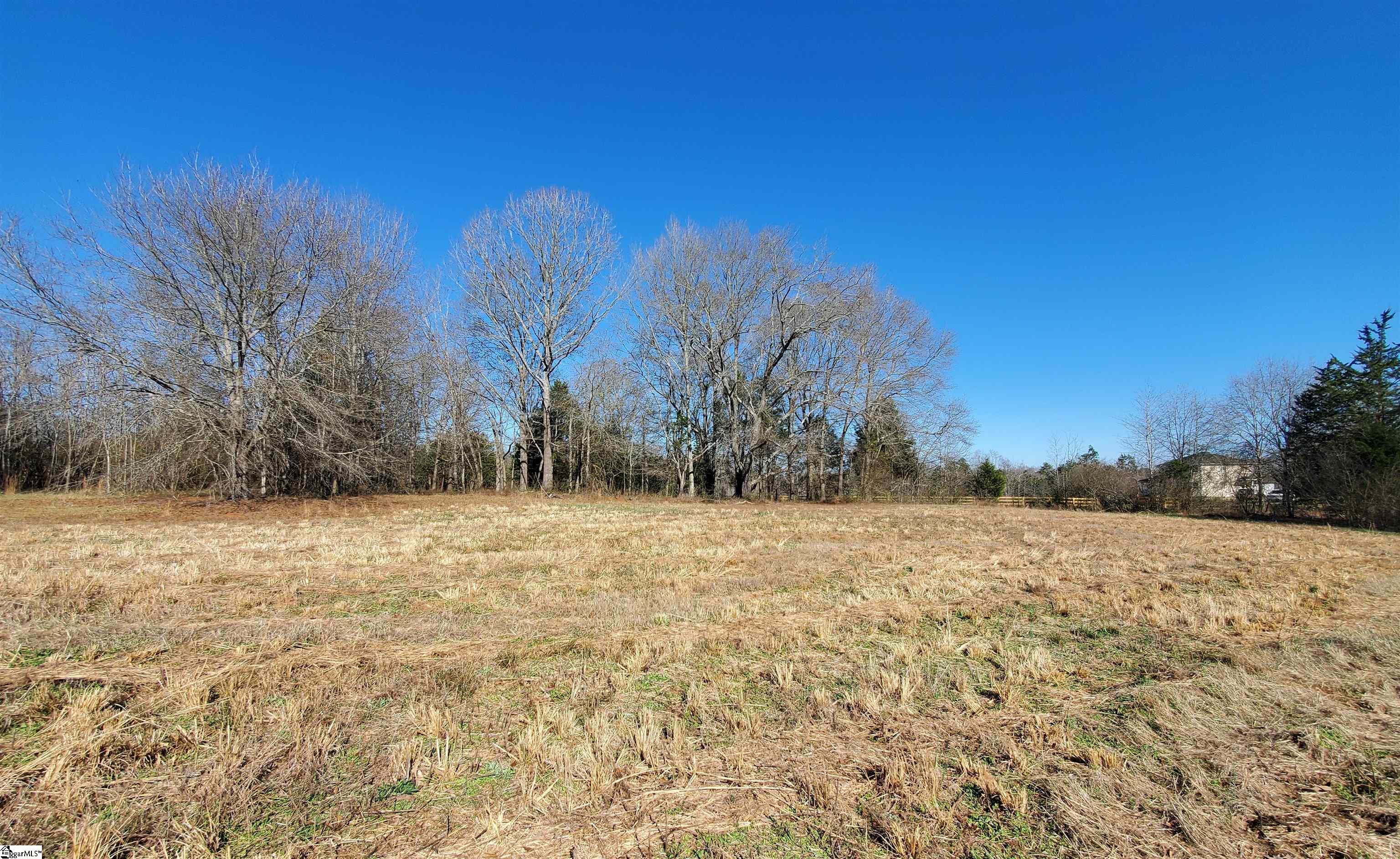 0 Lot 2 Ritchie Road Fountain Inn, SC 29644 - Photo 14 of 30