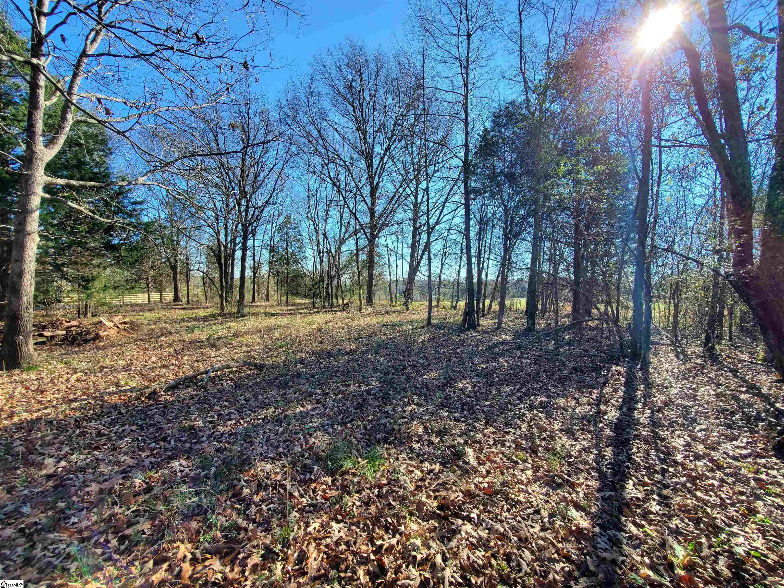 0 Lot 2 Ritchie Road Fountain Inn, SC 29644 - Photo 18 of 30