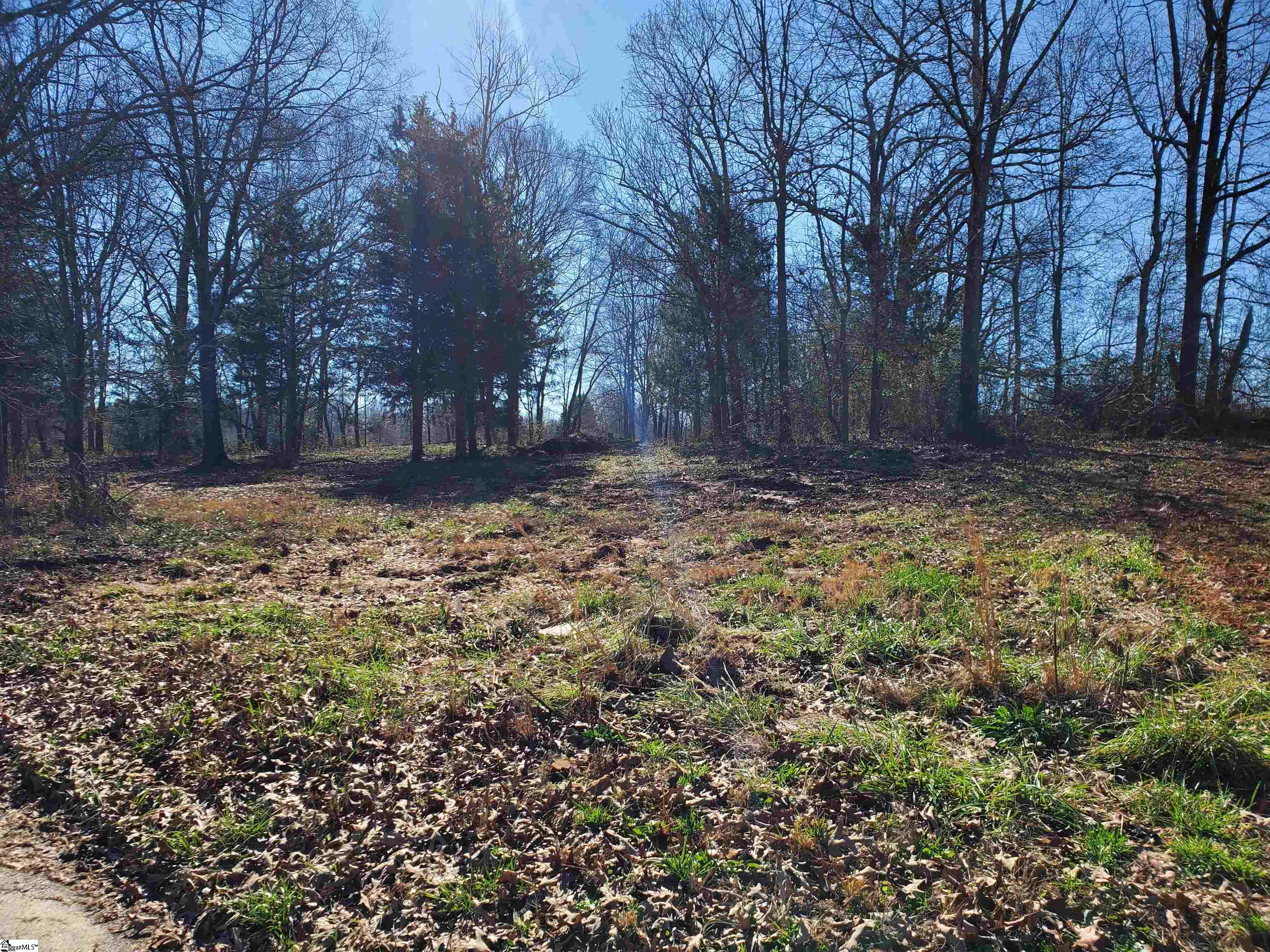 0 Lot 2 Ritchie Road Fountain Inn, SC 29644 - Photo 20 of 30