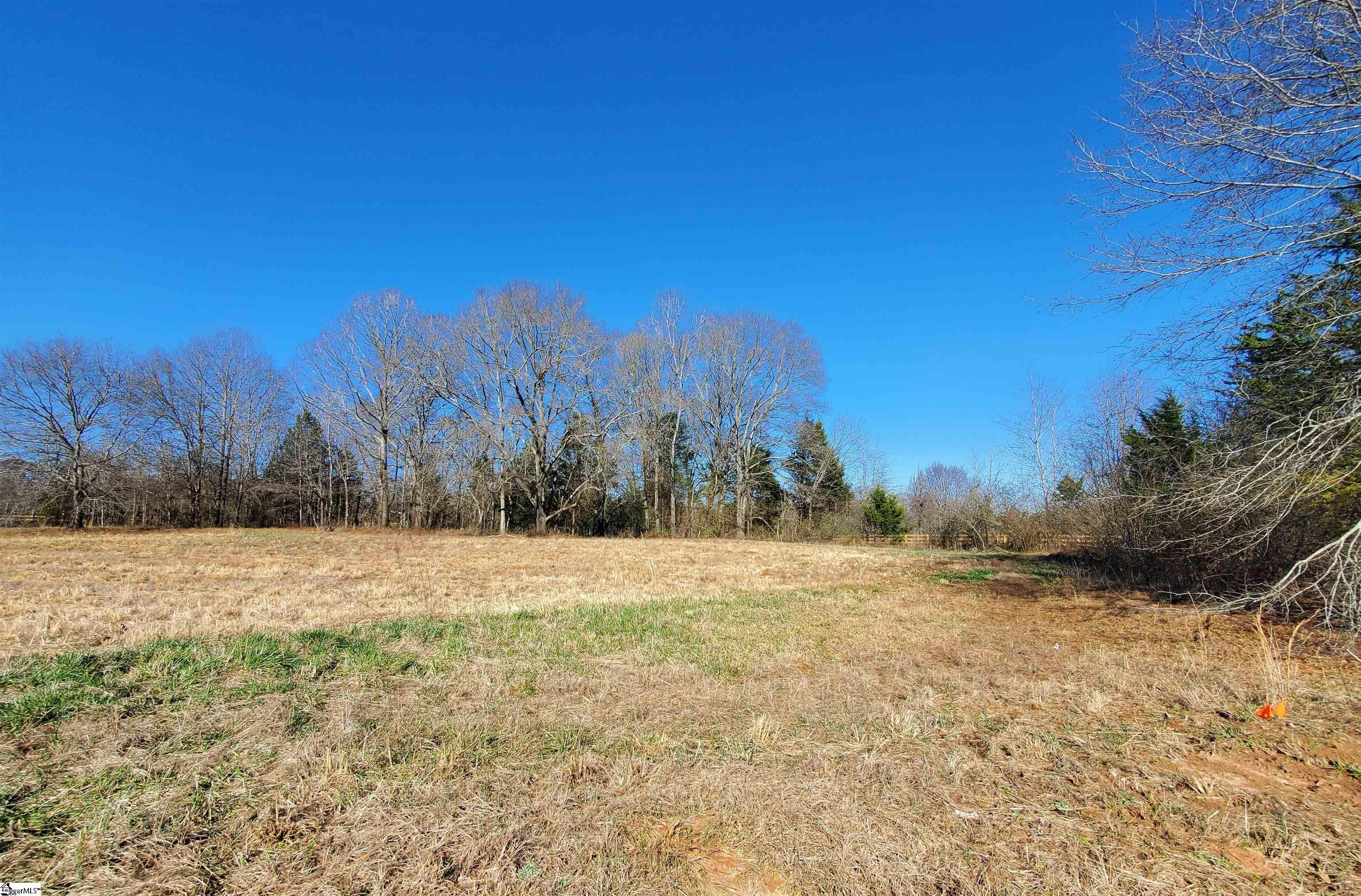 0 Lot 2 Ritchie Road Fountain Inn, SC 29644 - Photo 3 of 30