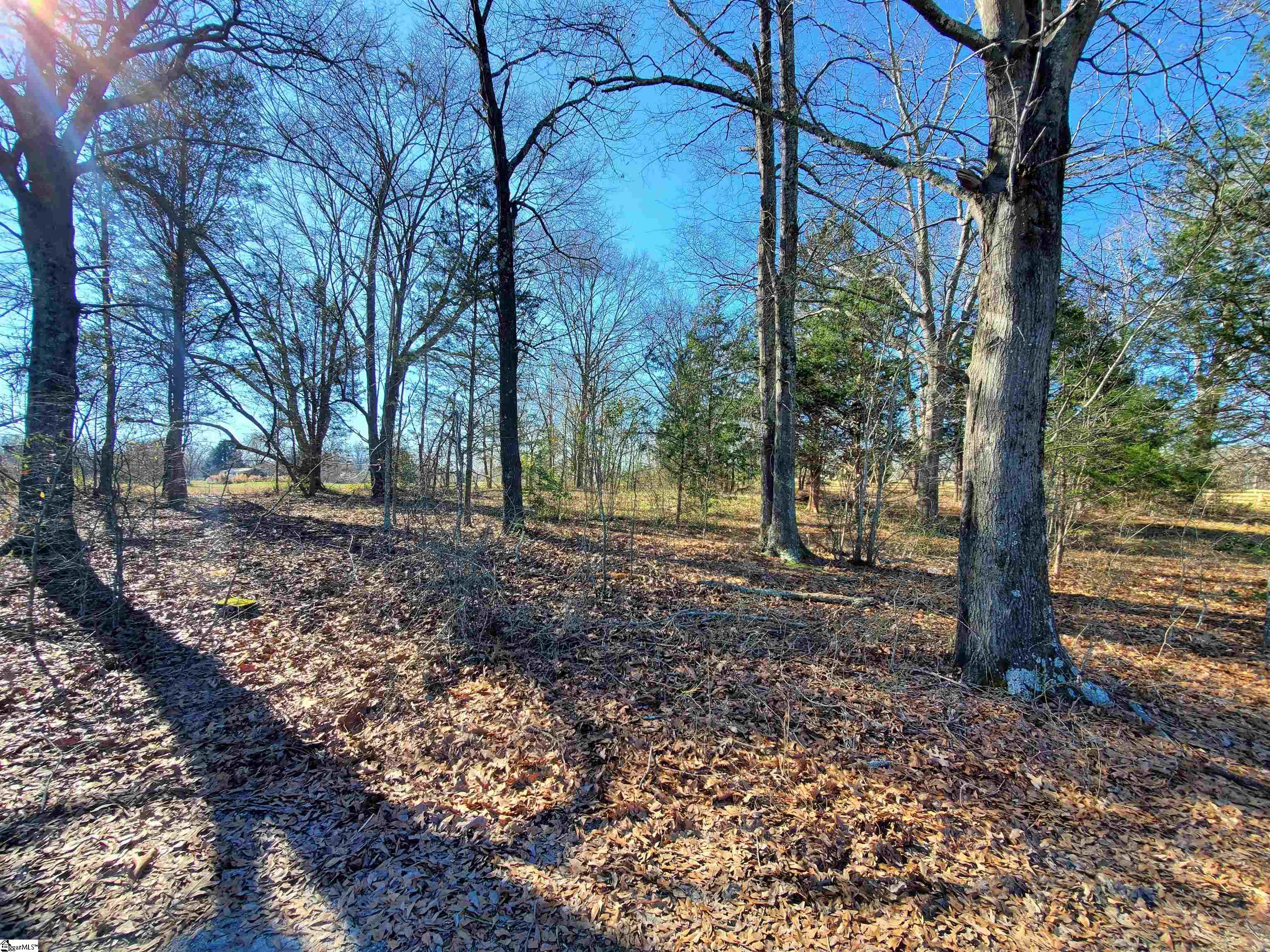 0 Lot 2 Ritchie Road Fountain Inn, SC 29644 - Photo 23 of 30