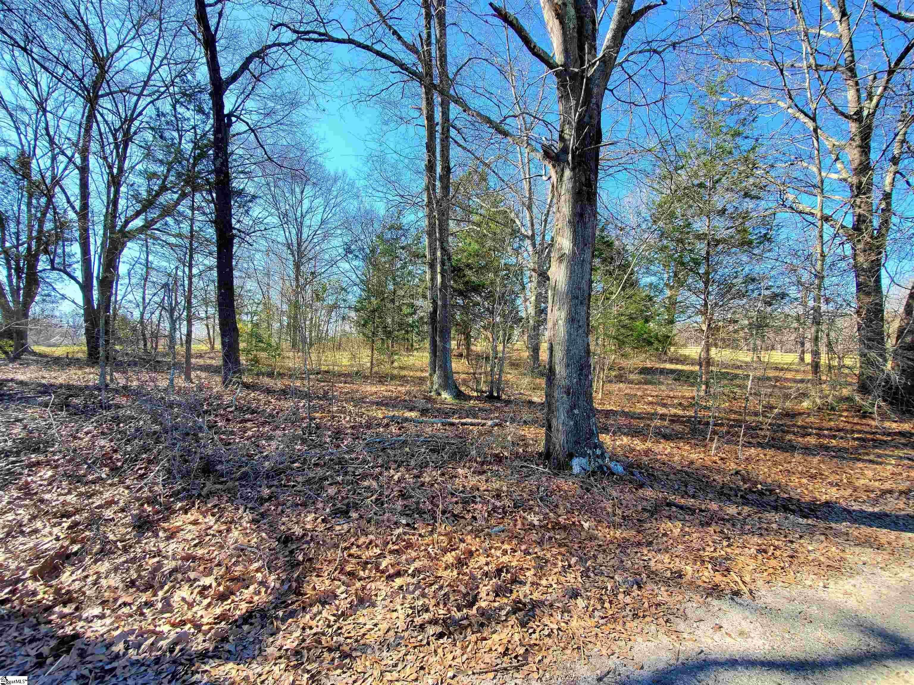 0 Lot 2 Ritchie Road Fountain Inn, SC 29644 - Photo 24 of 30