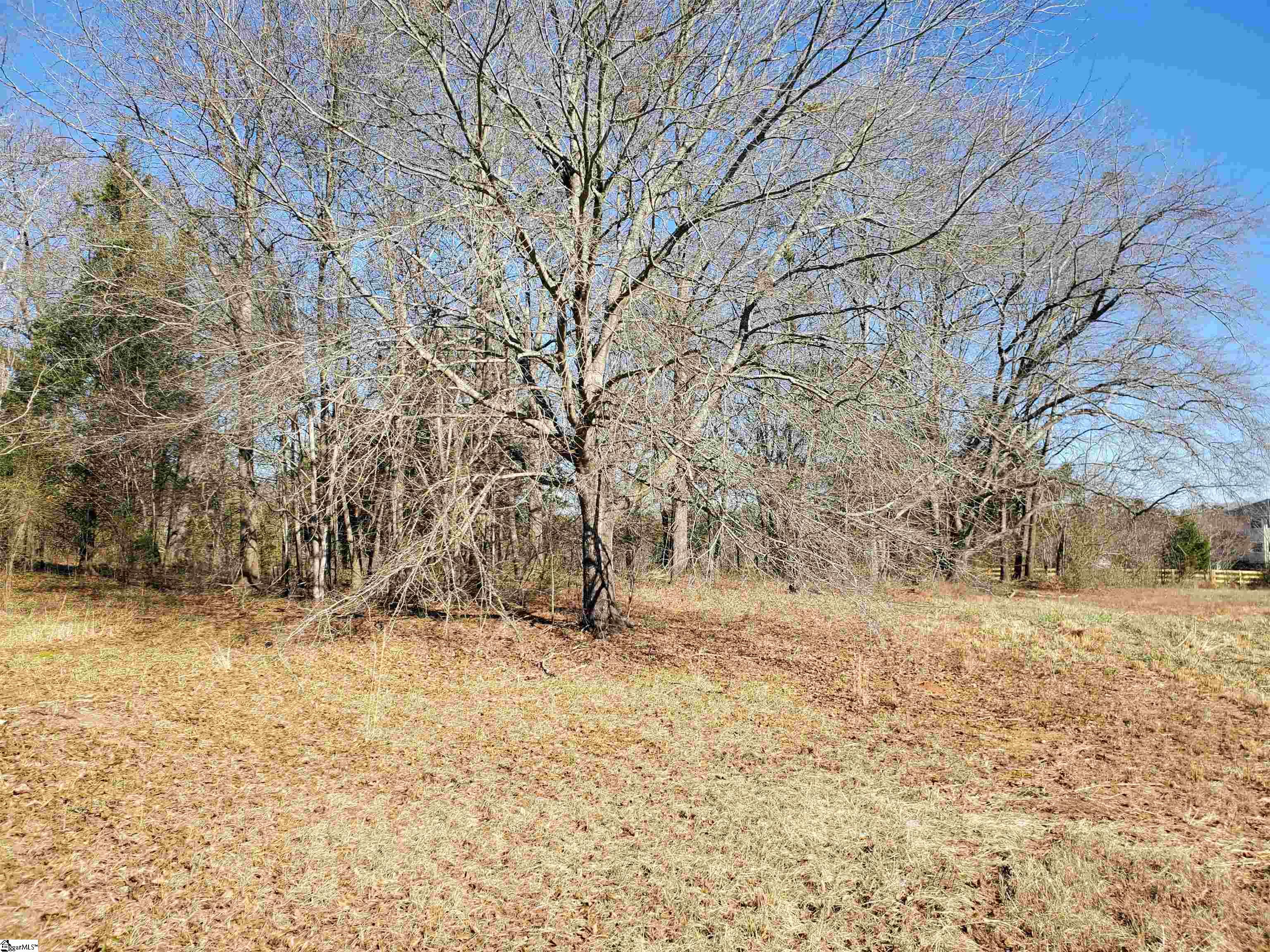 0 Lot 2 Ritchie Road Fountain Inn, SC 29644 - Photo 10 of 30