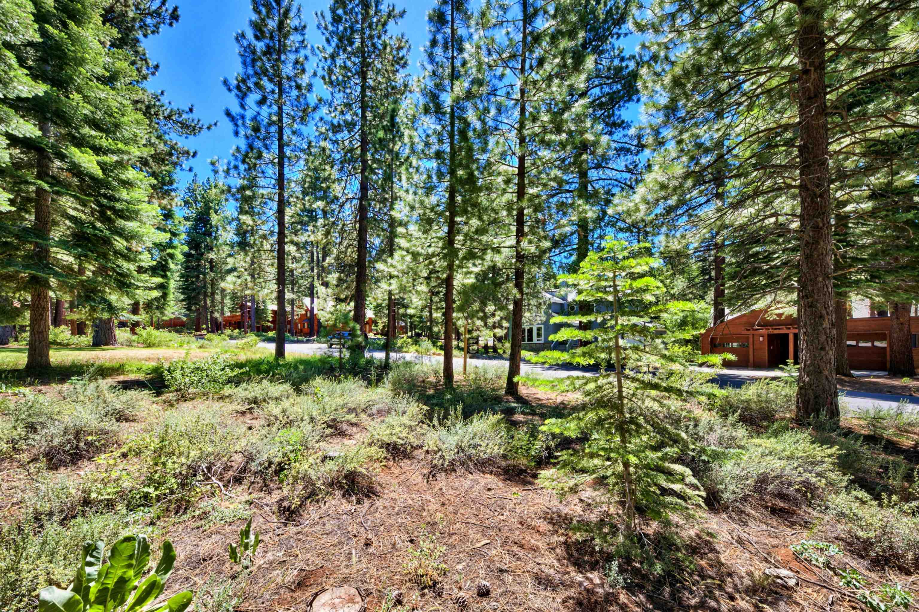 415 Lodgepole Truckee, CA 96161 - Photo 4 of 21 a backyard of a house with lots of green space