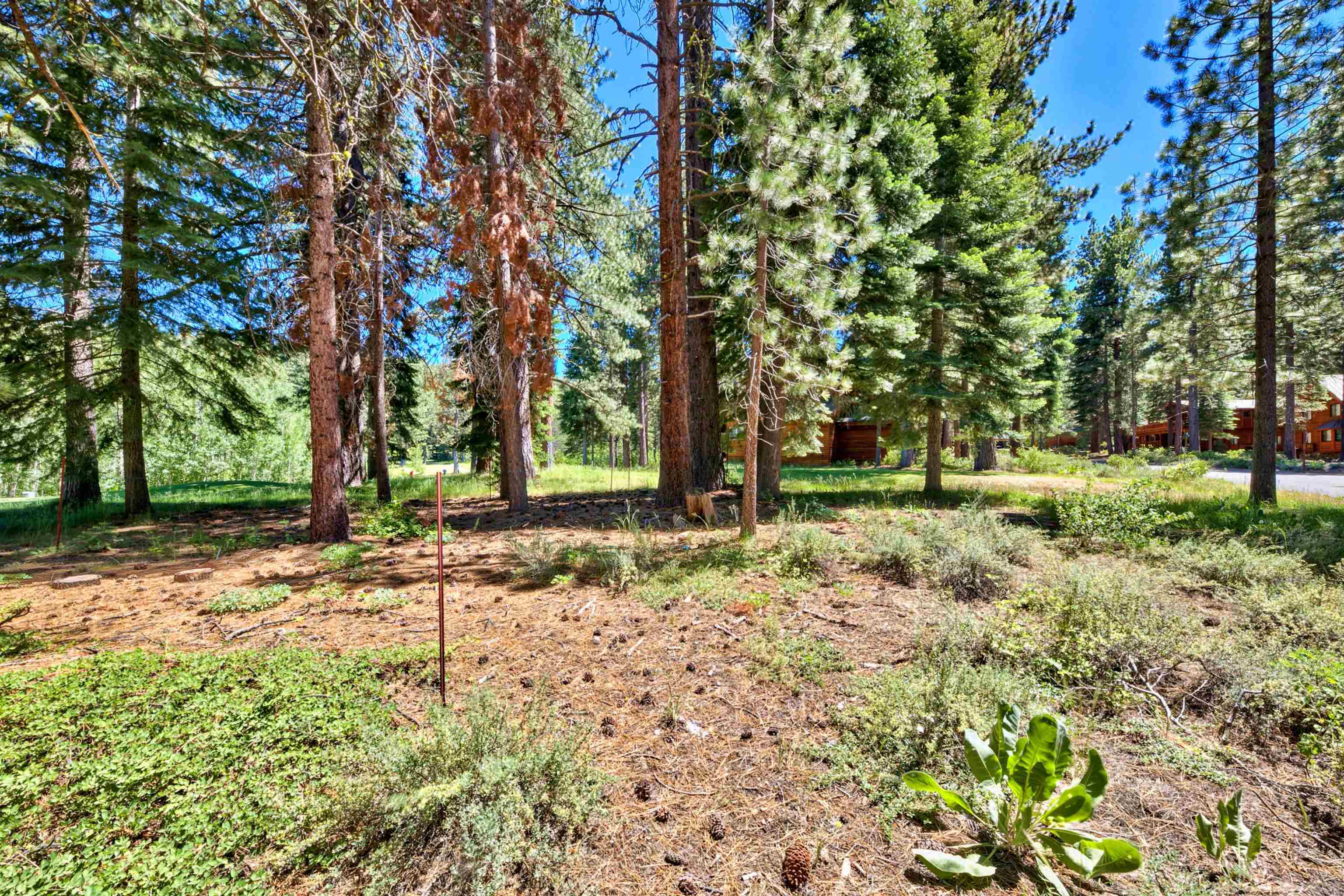 415 Lodgepole Truckee, CA 96161 - Photo 5 of 21 a backyard of a house with lots of green space